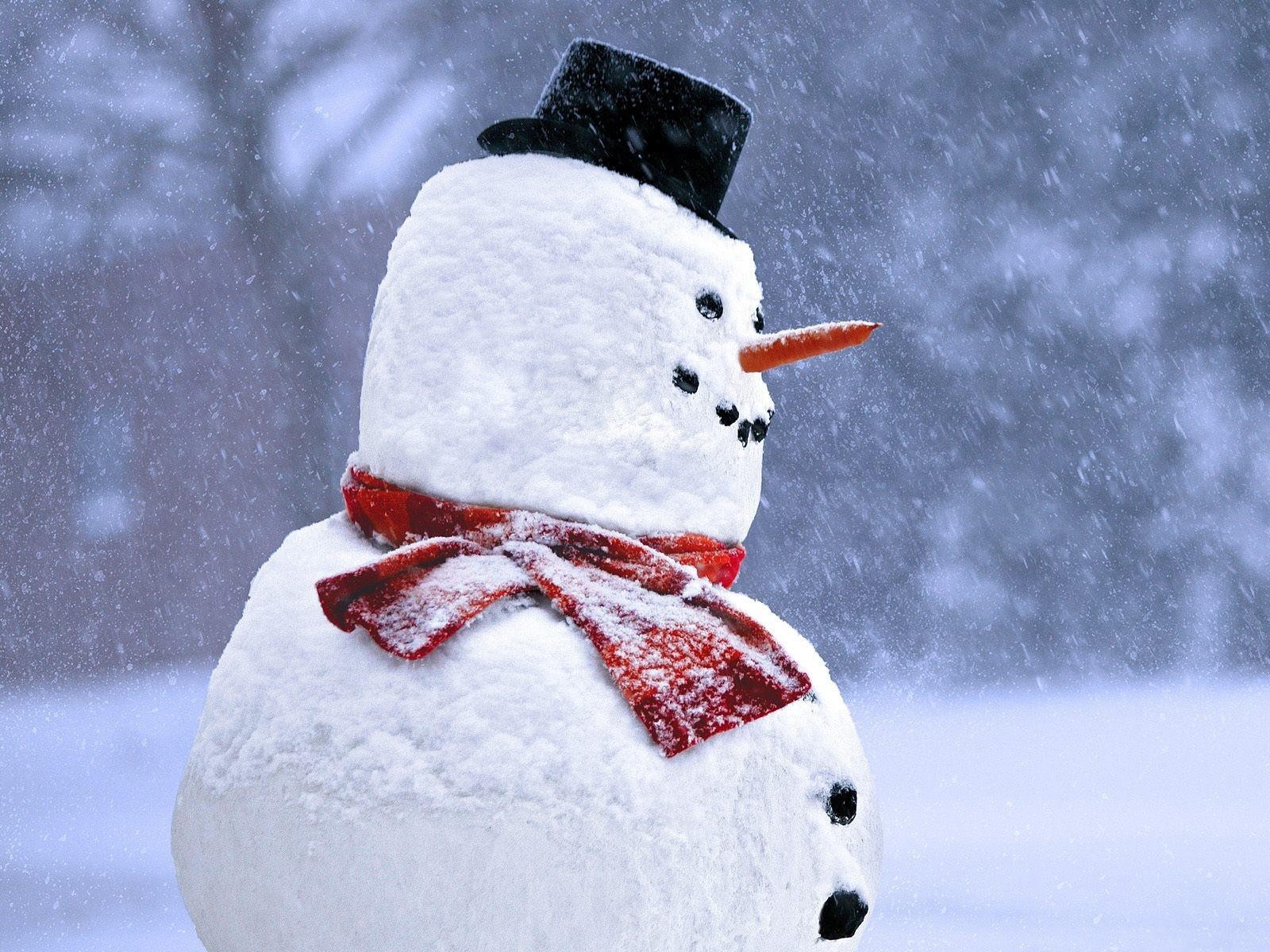 General 1600x1200 snow snowman winter carrots hat