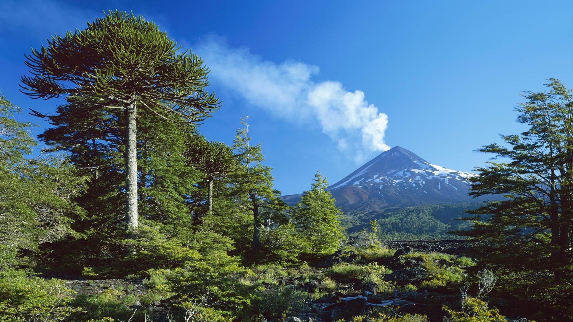 General 1920x1080 nature landscape trees volcano smoke snowy peak Chile daylight blue sky South America