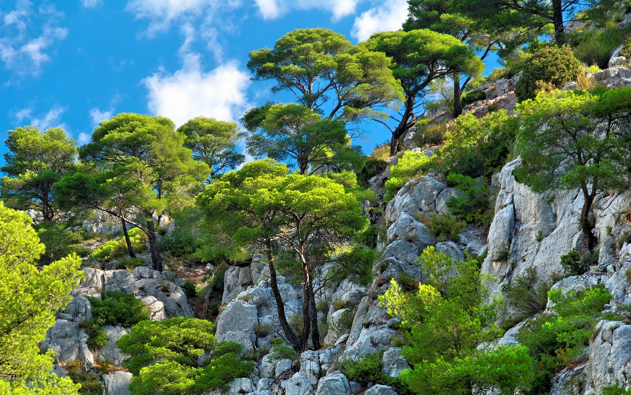 General 2500x1563 nature landscape clouds trees cliff shrubs blue green summer sunlight daylight sky blue rocks