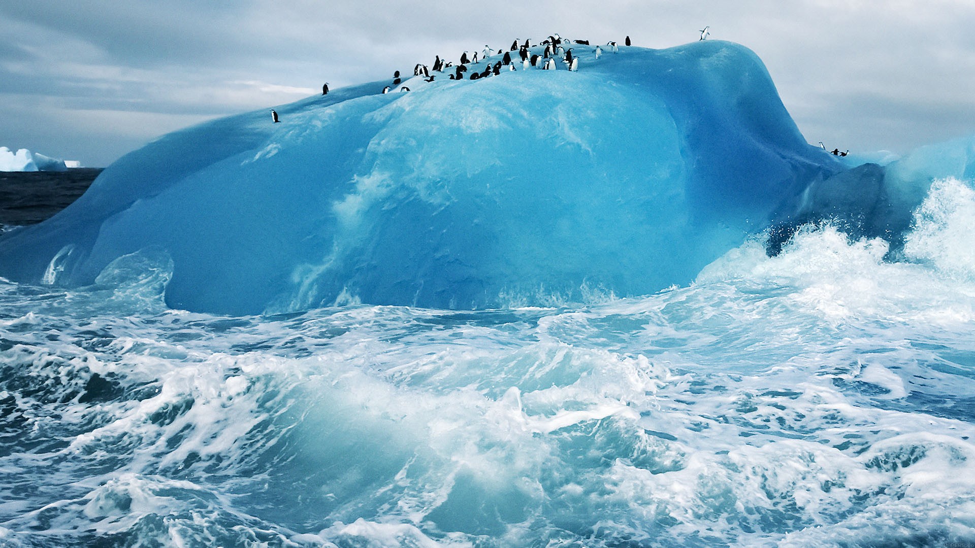 General 1920x1080 ice penguins nature iceberg animals birds cyan blue