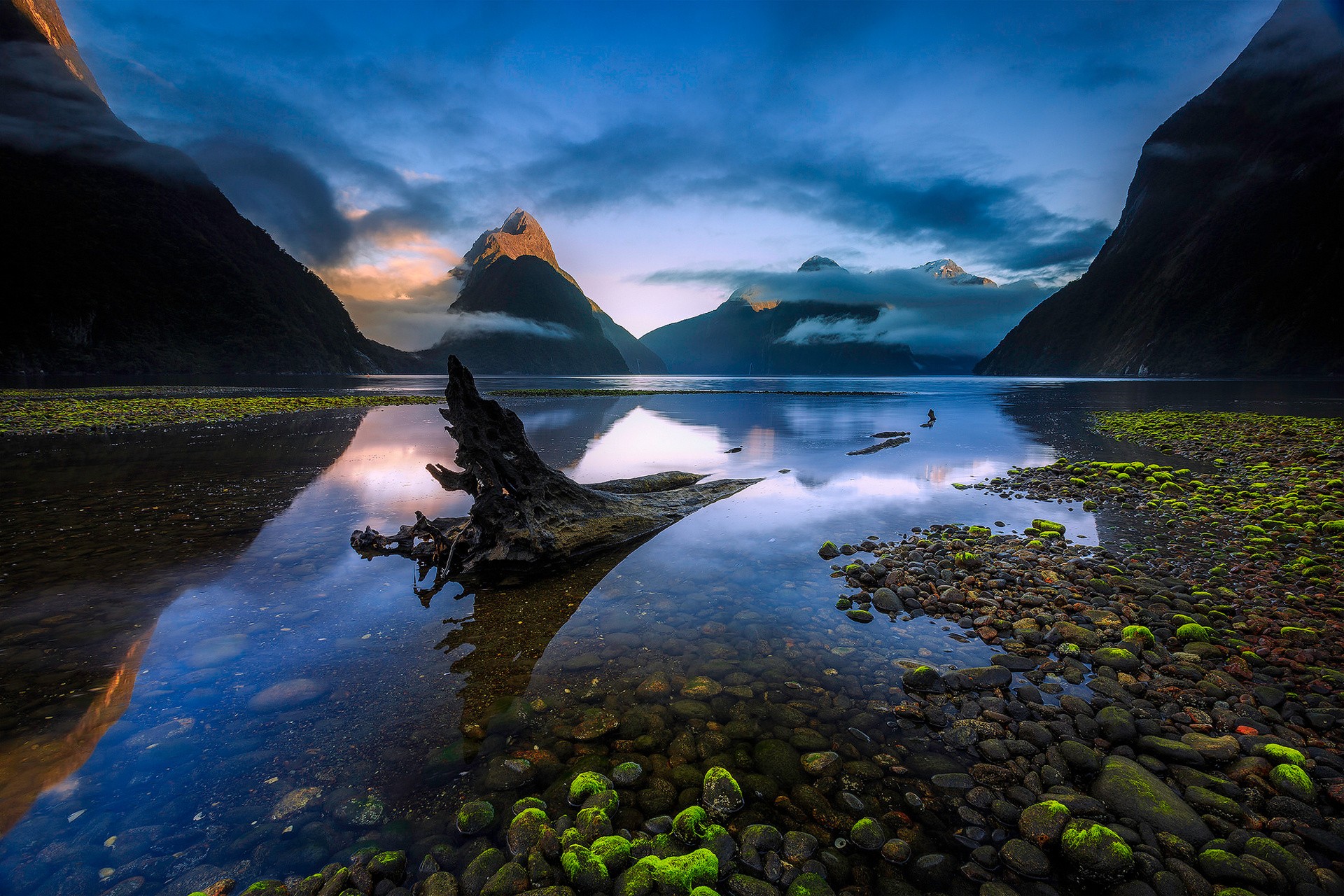 General 1920x1280 nature landscape water clouds New Zealand lake dead trees stones moss mountains reflection