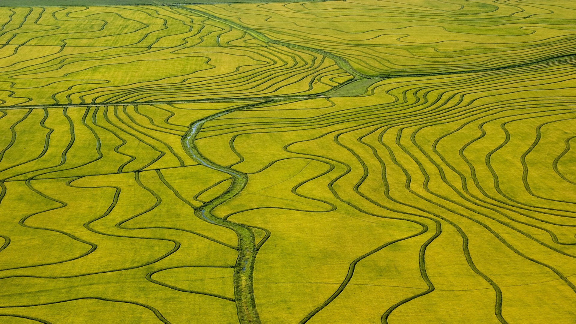 General 1920x1080 nature landscape green field river rice fields aerial view Agro (Plants)