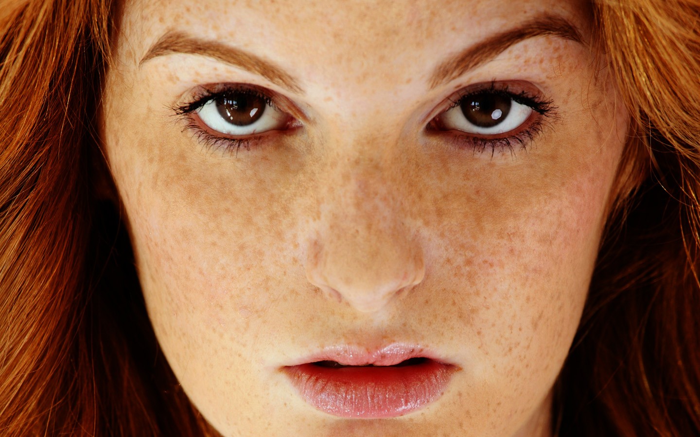 People 1440x900 Faye Reagan redhead freckles pornstar face X-Art Magazine women American women