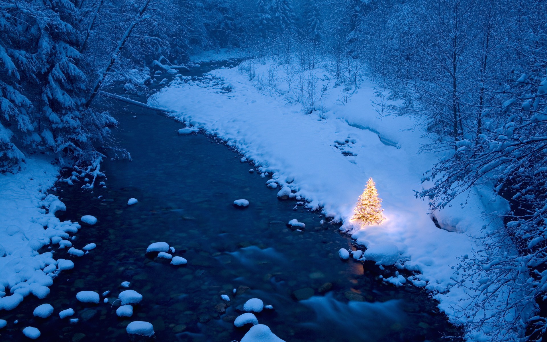 General 1920x1200 Christmas trees snow Christmas tree forest nature creeks cold winter ice low light