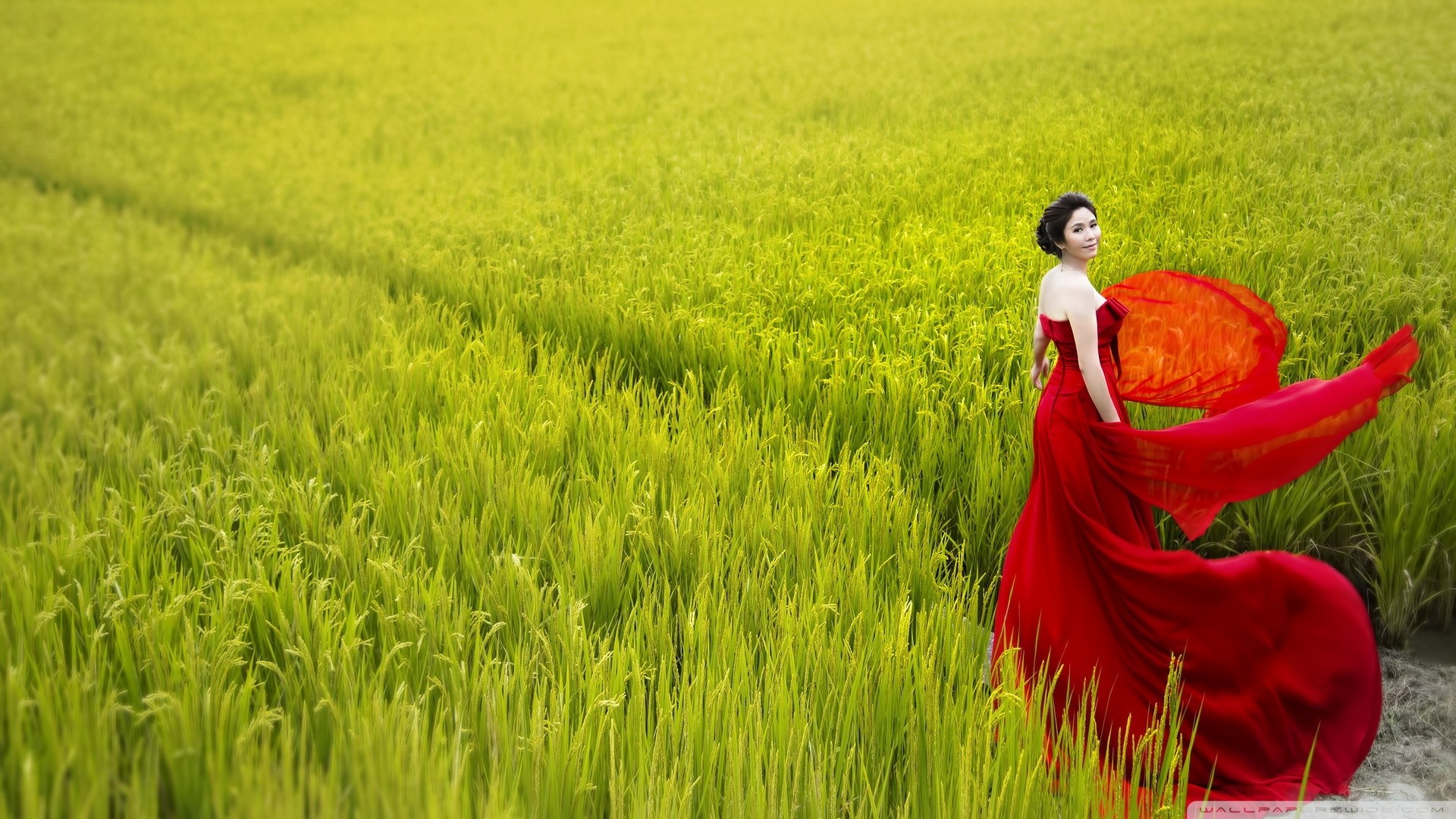 People 1920x1080 women Asian dress red dress field Agro (Plants) red clothing looking at viewer model plants