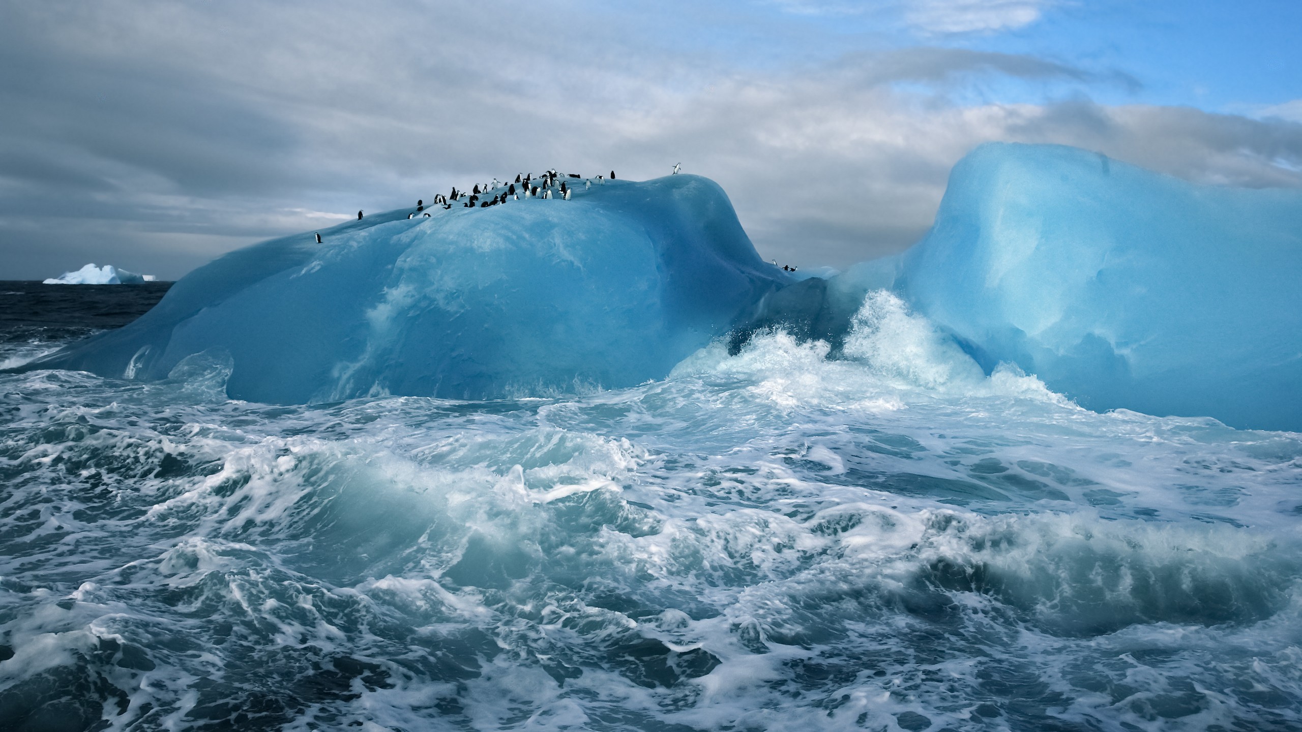General 2560x1440 iceberg sea penguins waves Arctic antarctic animals nature