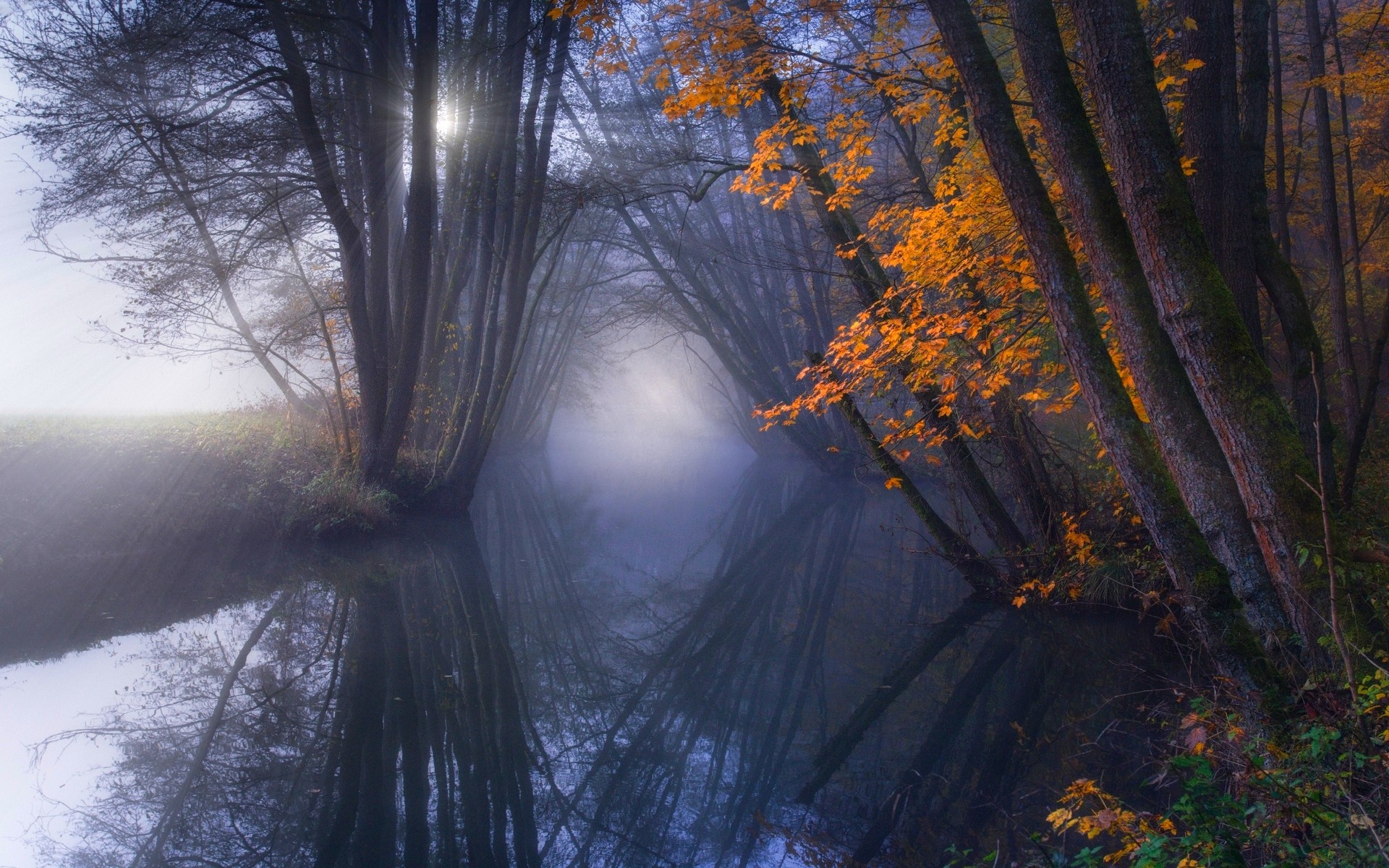 General 1920x1200 nature reflection mist fall forest trees shrubs sun rays water calm creeks