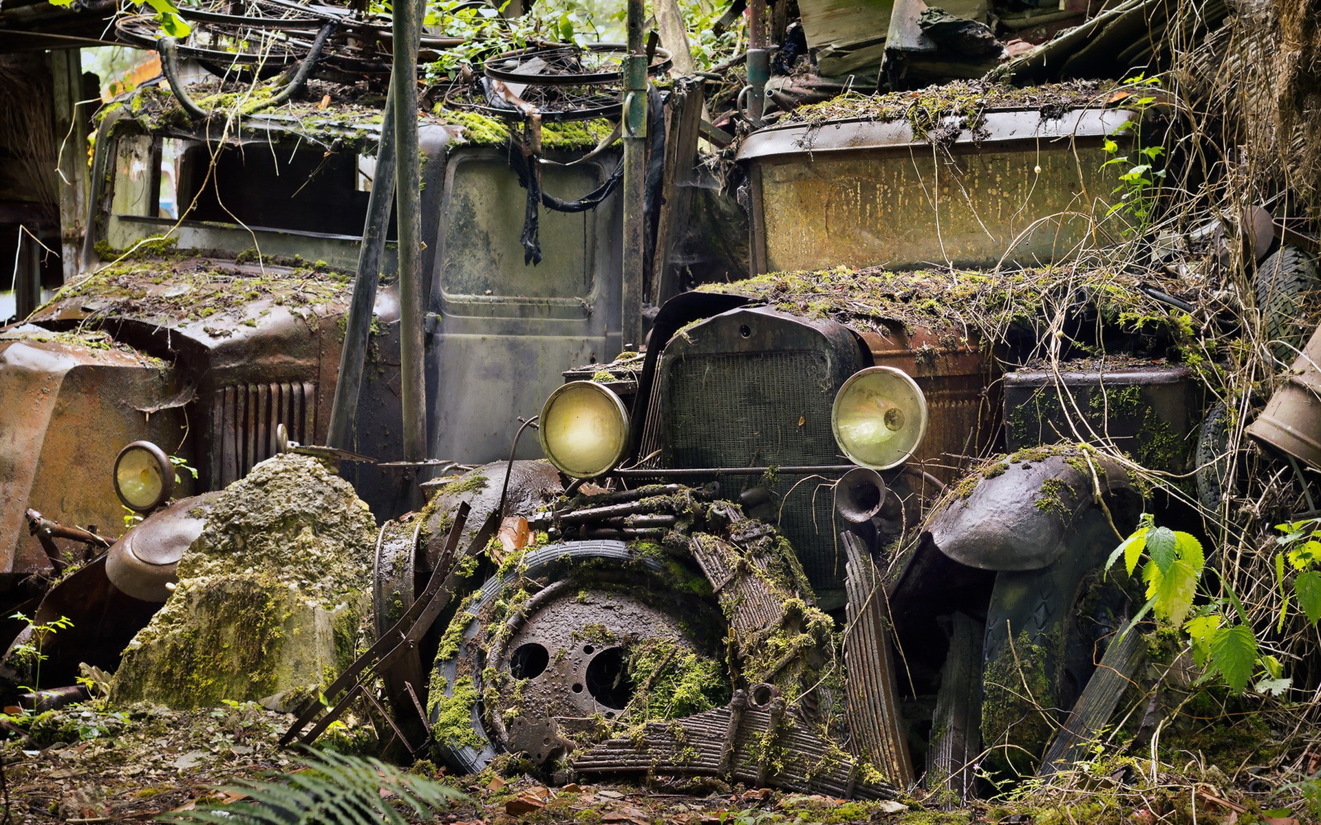 General 1920x1200 vehicle wreck rust plants outdoors junkyard