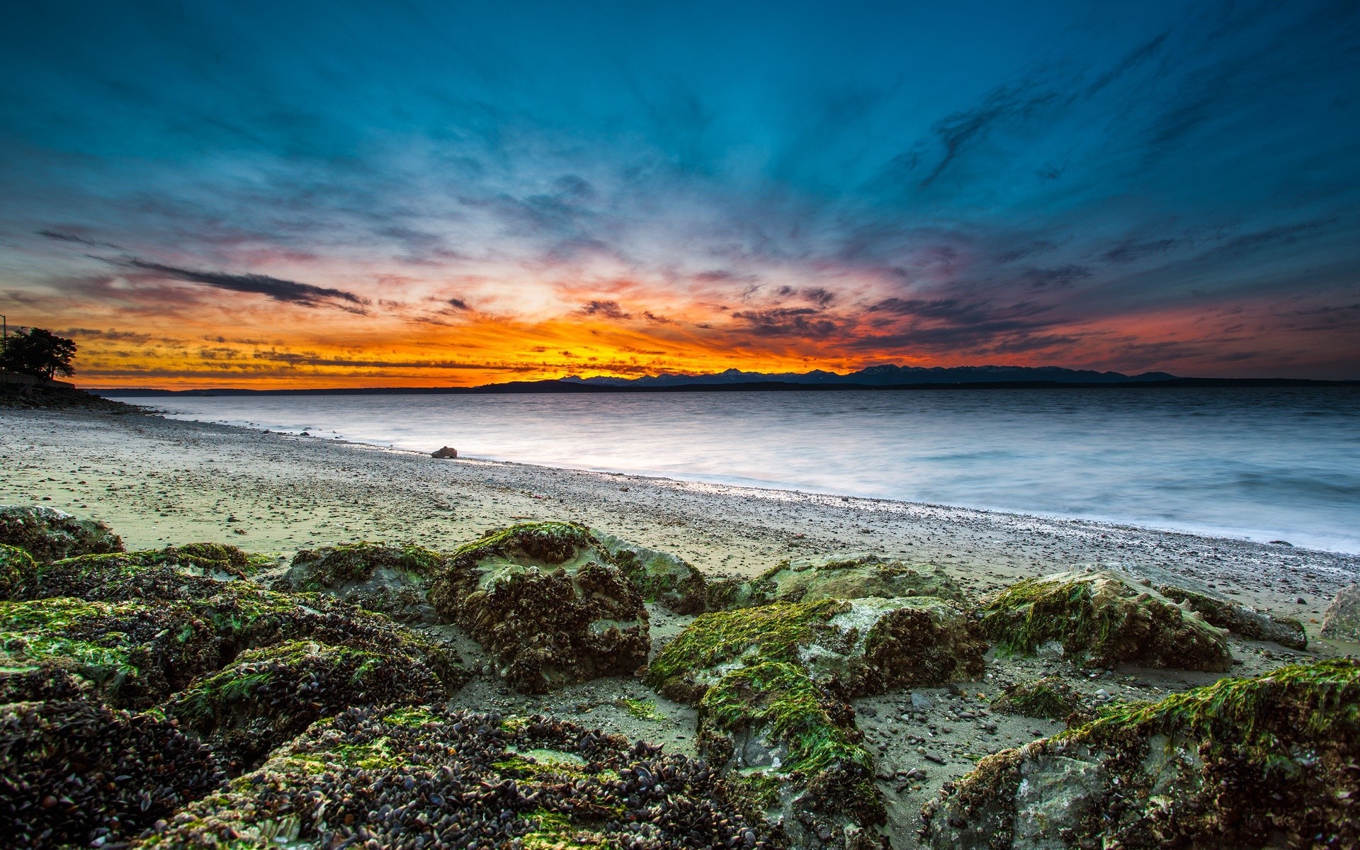General 1920x1200 nature landscape sunset coast beach seaweed stones long exposure waves water sea low light