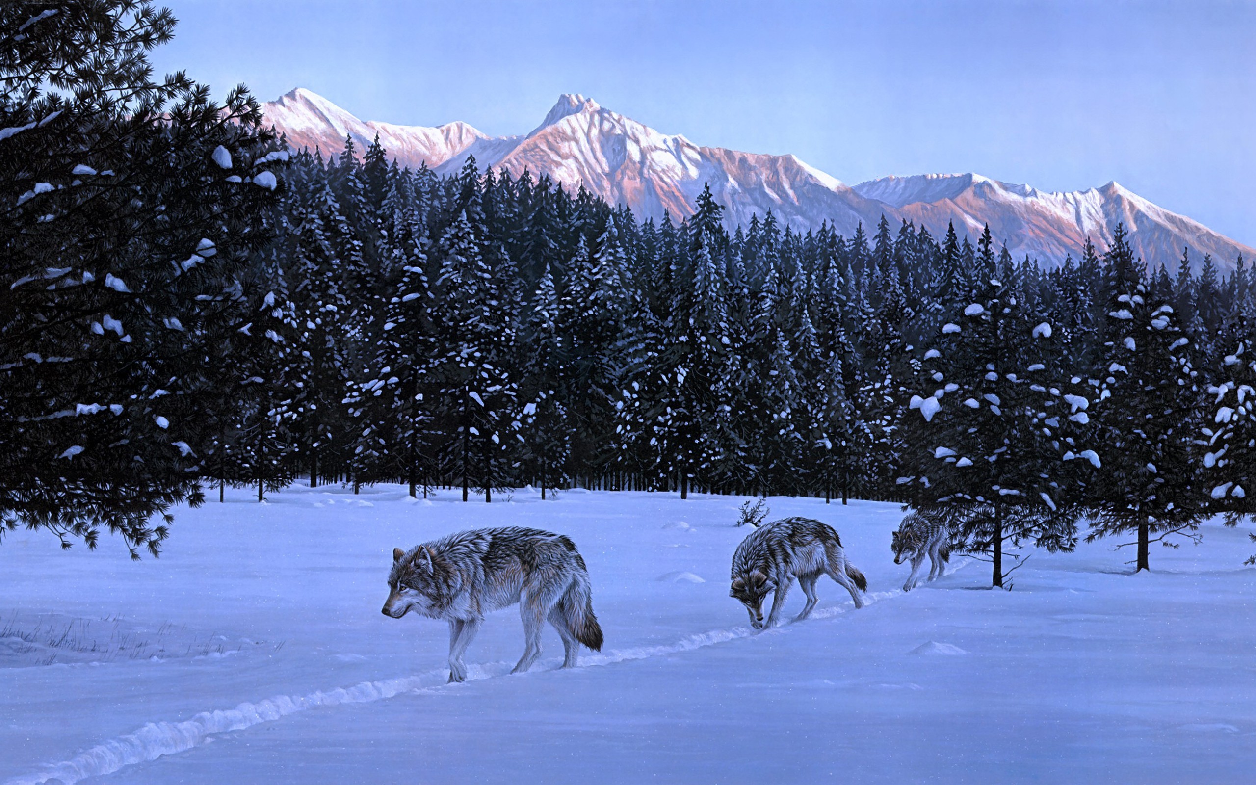 General 2560x1600 animals nature wolf mammals artwork snow winter mountains