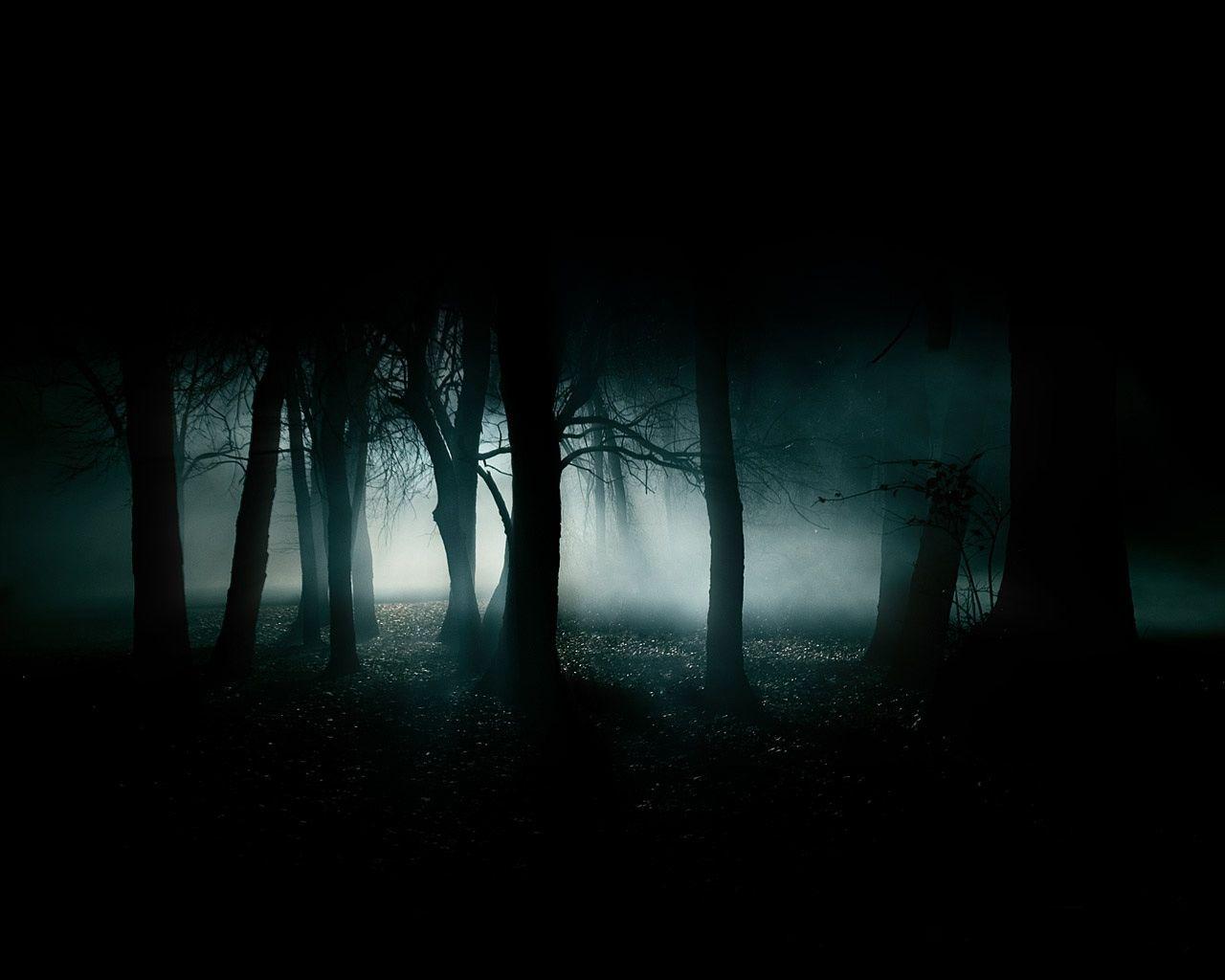 General 1280x1024 forest dark night gloomy lights