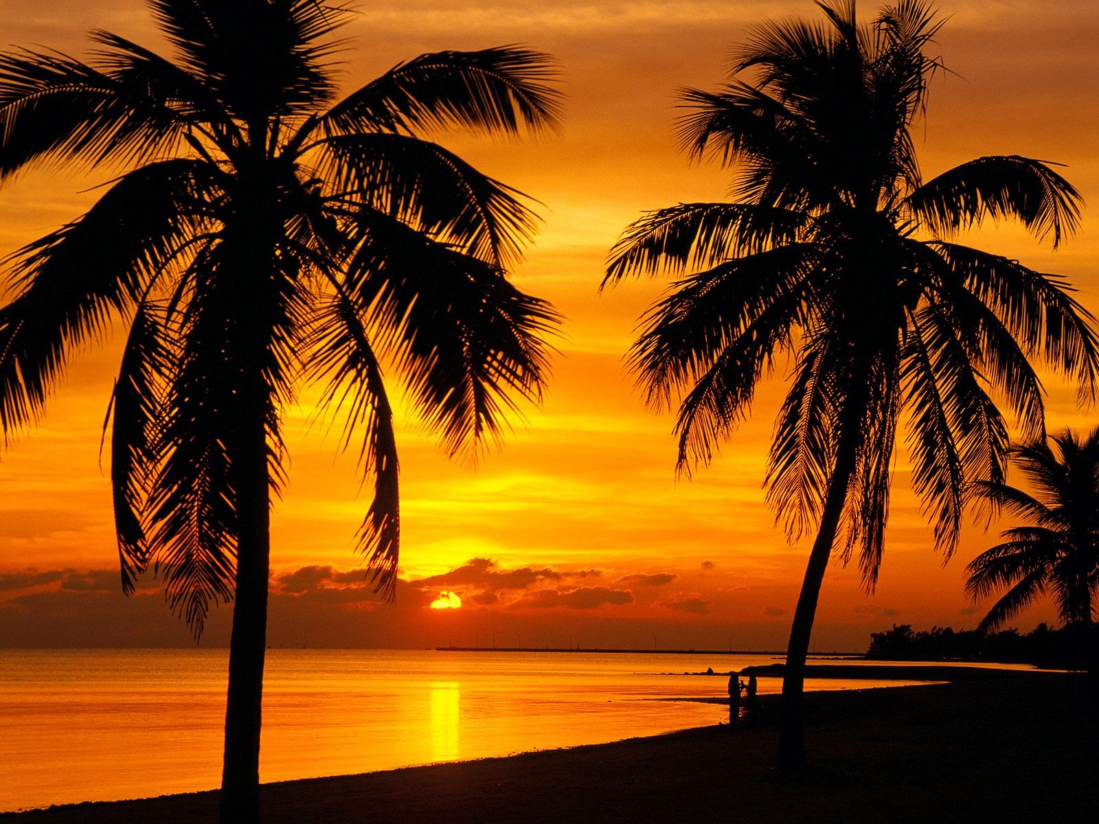General 1600x1200 landscape palm trees sunset silhouette tropical skyscape