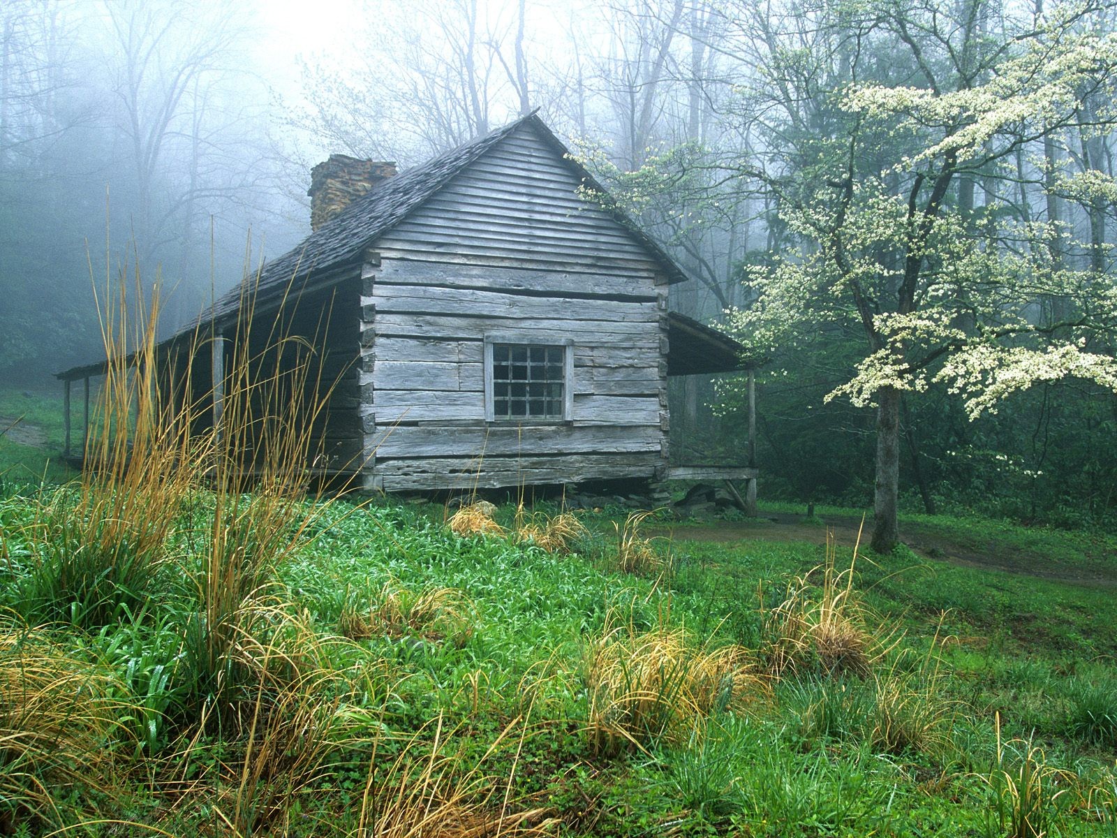 General 1600x1200 cabin forest mist cottage wood house