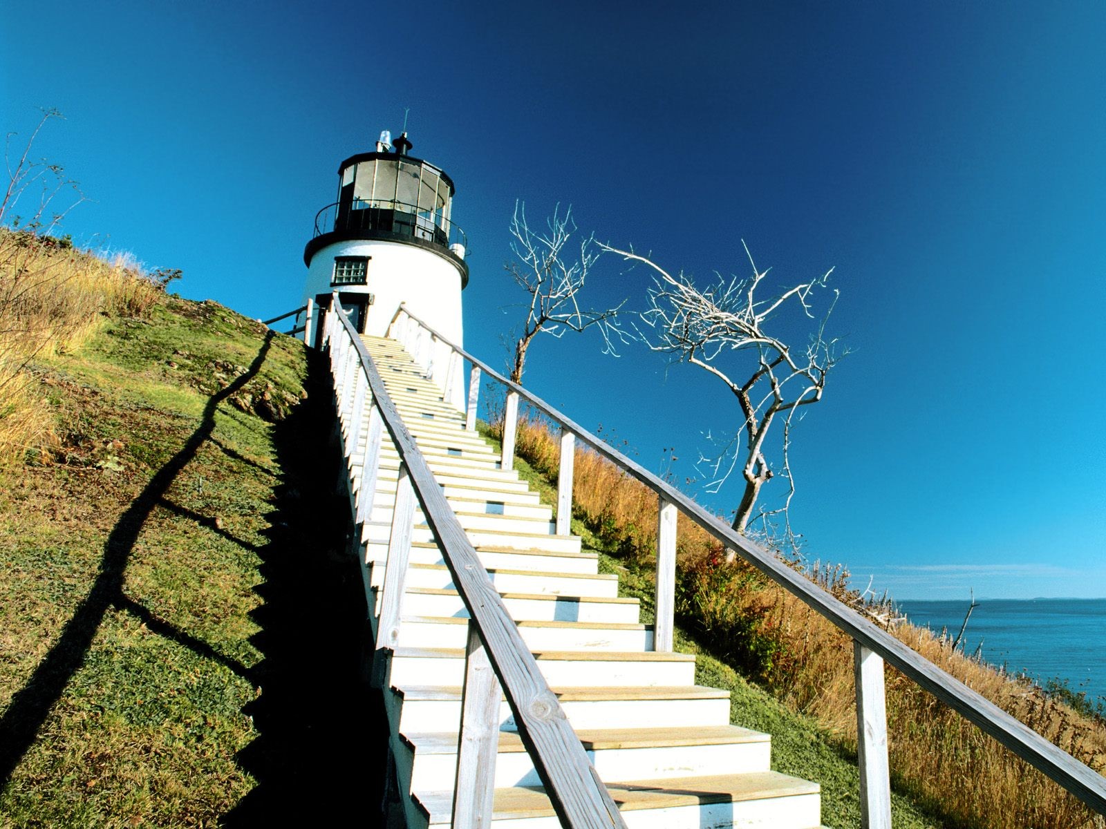 General 1600x1200 lighthouse stairs building dead trees outdoors