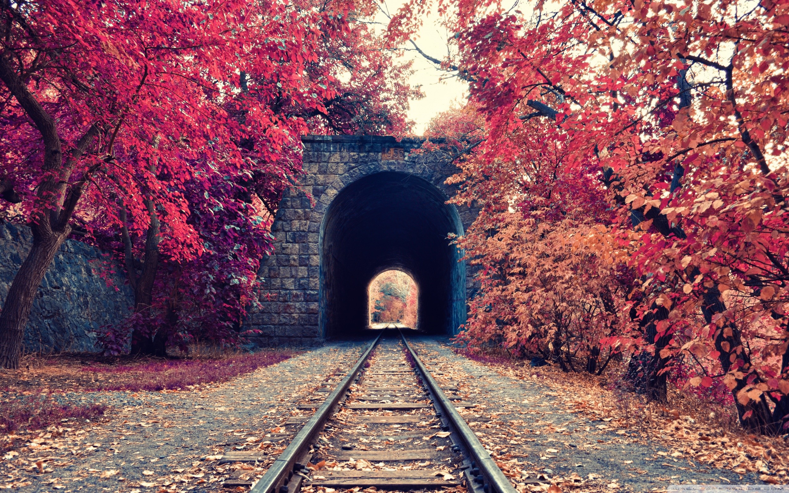 General 2560x1600 fall tunnel railway trees Armenia red red leaves