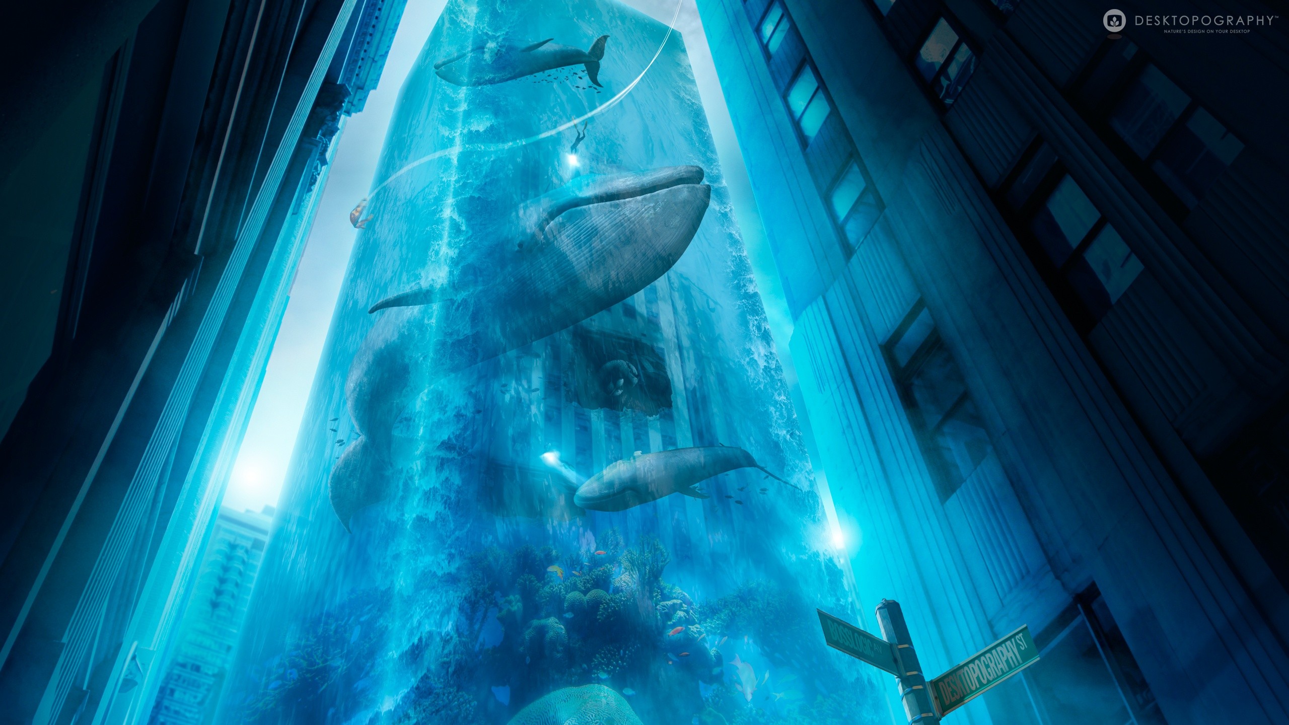 General 2560x1440 cyan blue animals city divers artwork whale mammals digital art Desktopography