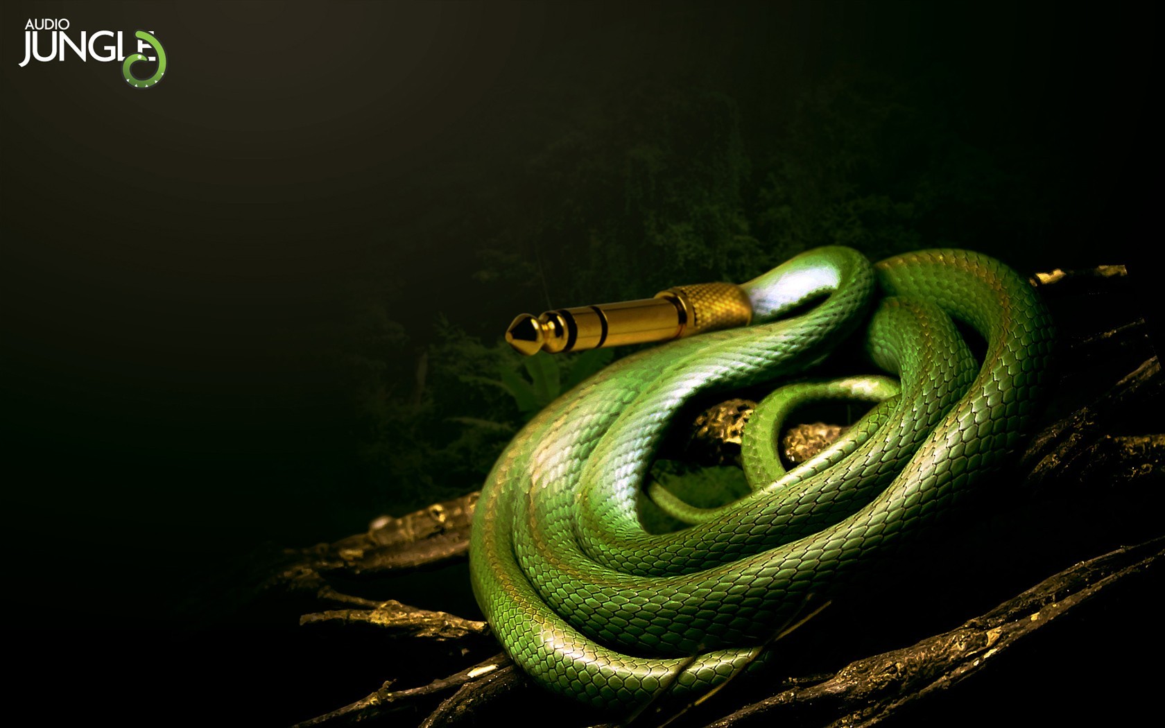 General 1680x1050 music power cord green snake animals reptiles green snake audio jungle advertisements contests photoshopped photo manipulation