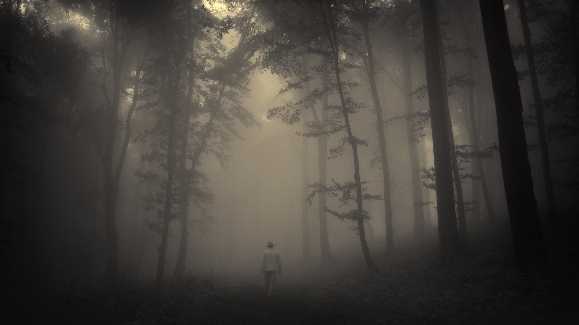 General 1920x1080 mist men forest spooky nature walking deep forest alone trees men outdoors