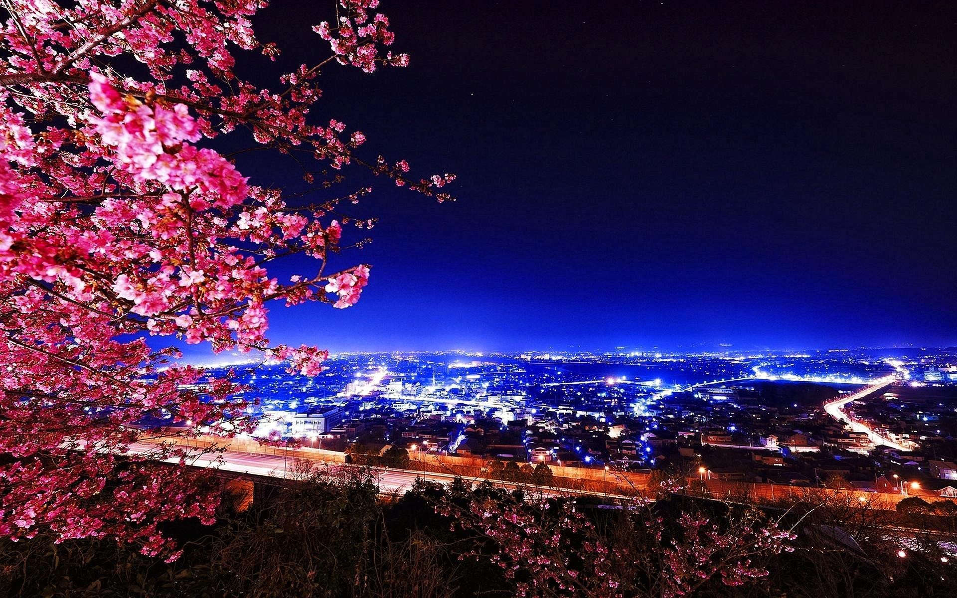 General 1920x1200 landscape cherry blossom Japan Asia cityscape city lights sky night plants