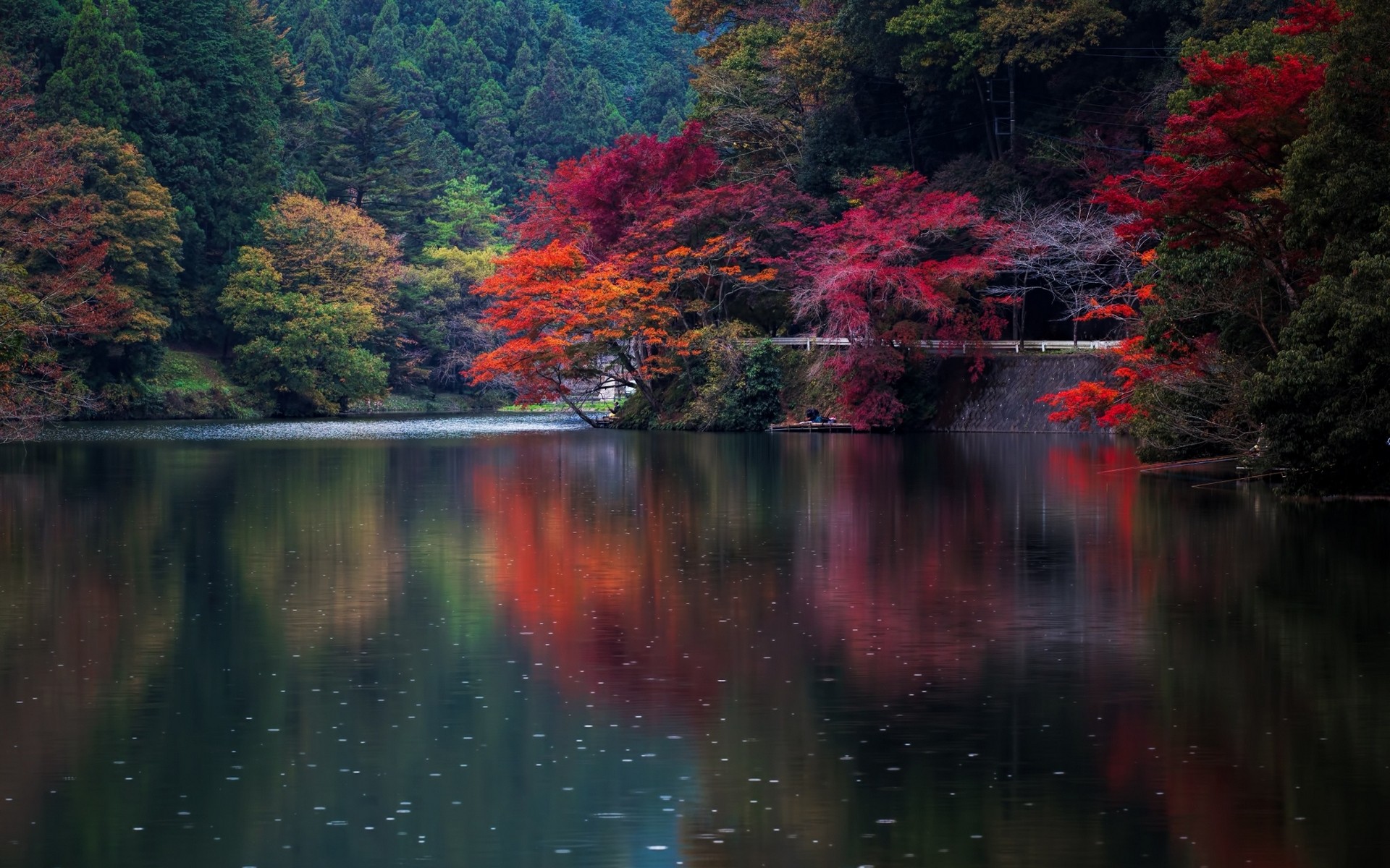 General 1920x1200 nature fall water trees Japan colorful