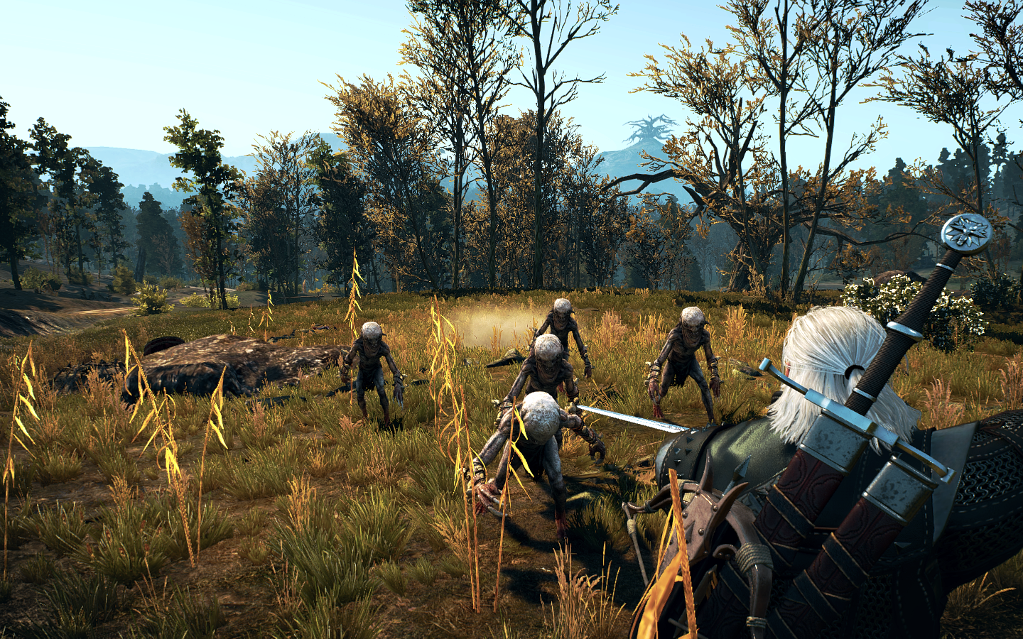 General 1440x900 The Witcher 3: Wild Hunt Geralt of Rivia video games screen shot PC gaming video game landscape RPG