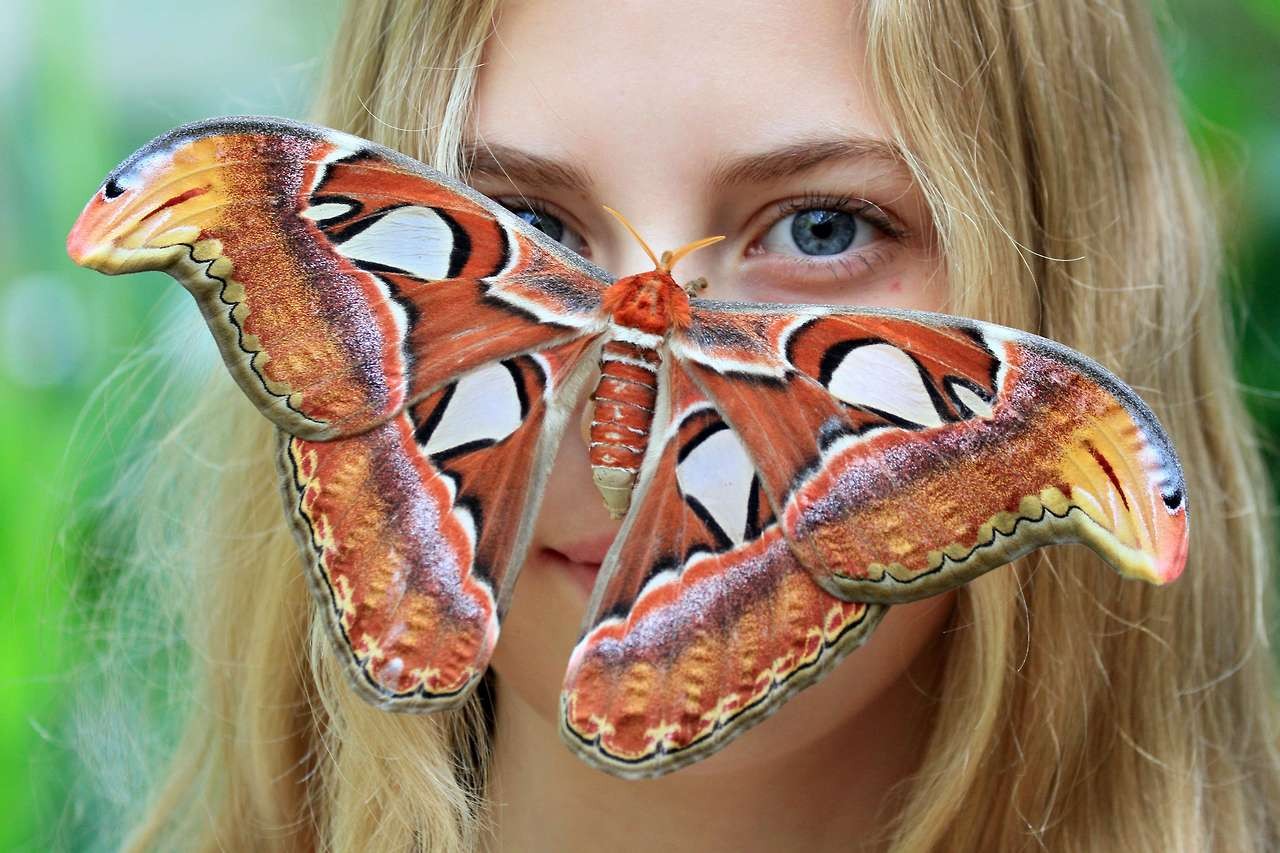 People 1280x853 blonde moths moth women looking at viewer blue eyes green background simple background animals insect long hair