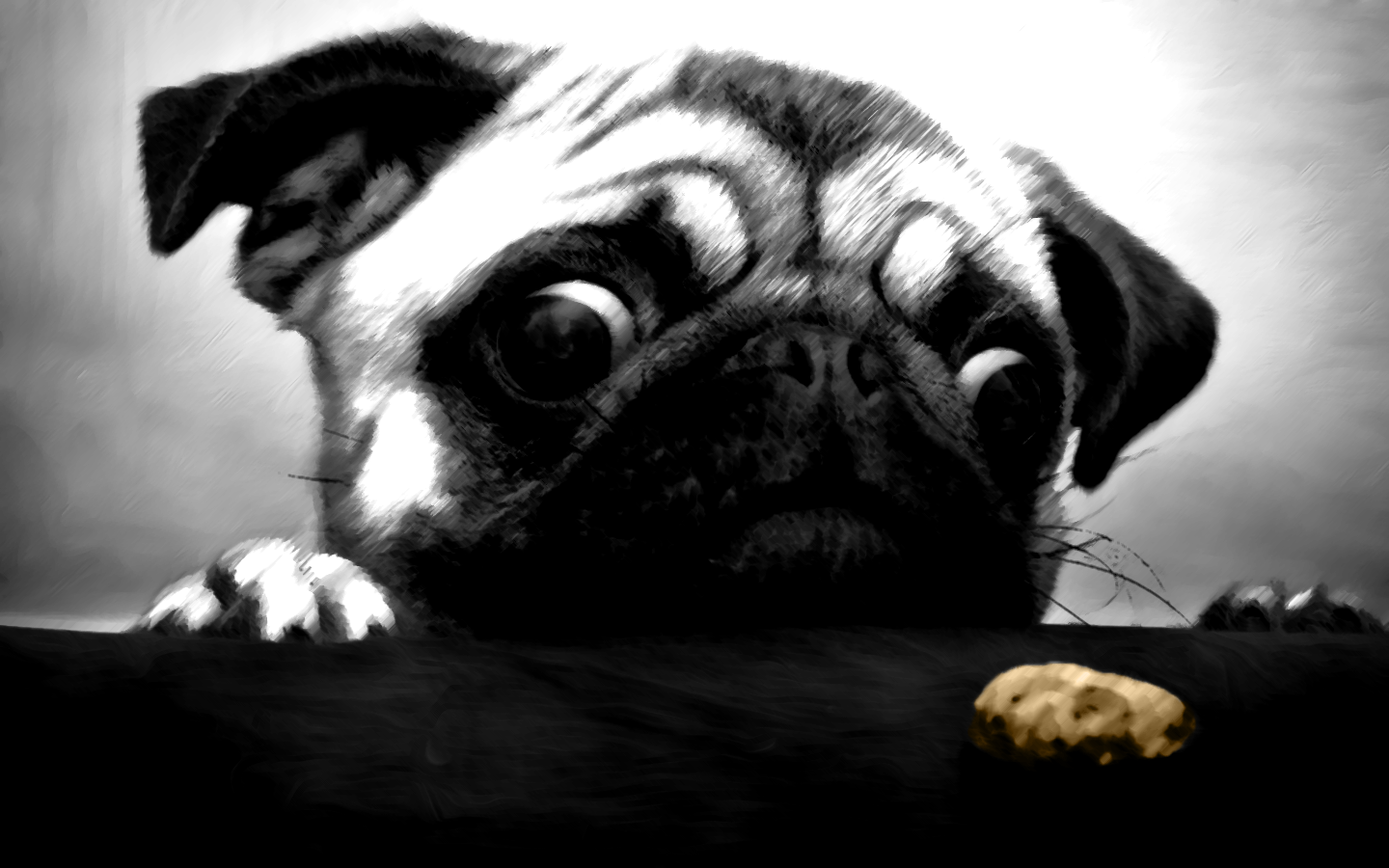 General 1440x900 pug  cookies animals dog digital art mammals