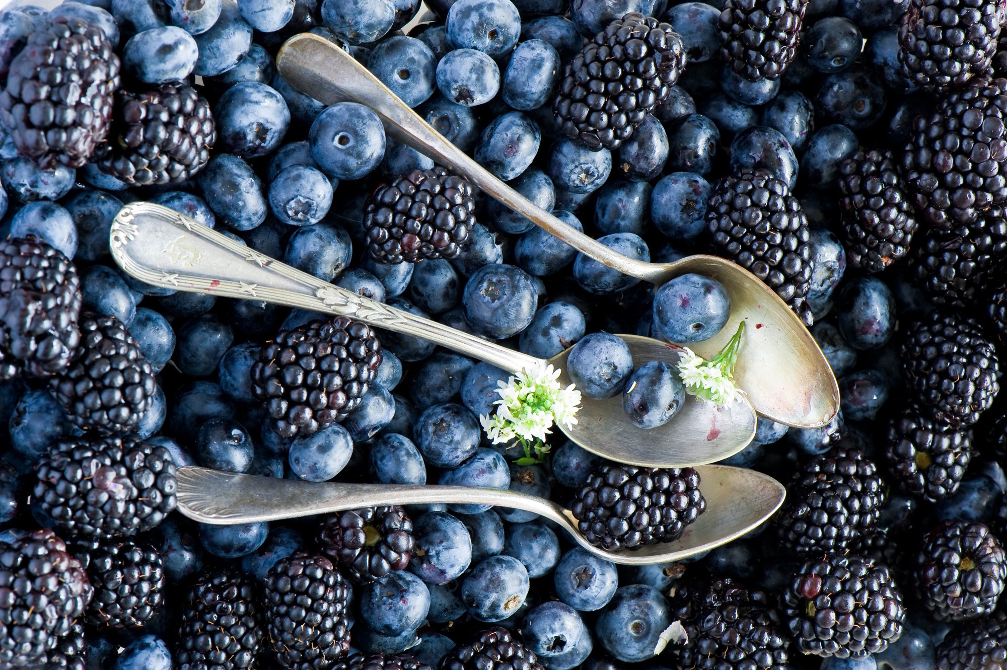 General 2000x1331 blueberries food spoon berries blackberries fruit blue