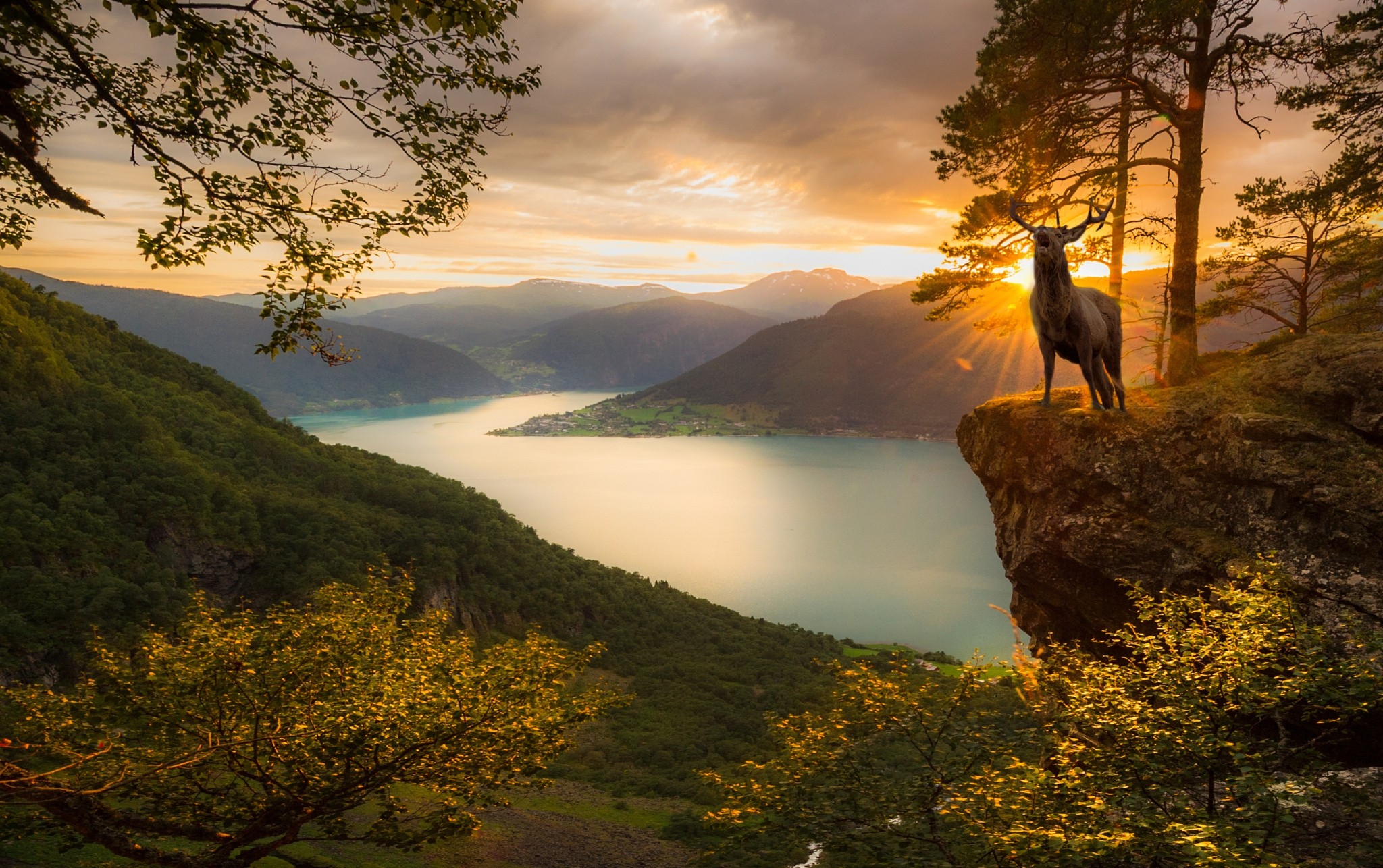 General 2048x1286 deer sunset fjord mountains trees Norway forest nature landscape clouds animals mammals