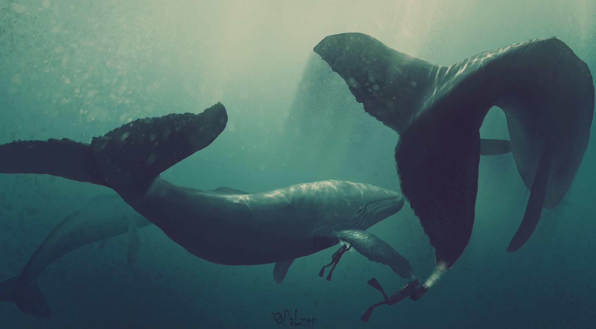 General 2000x1104 whale divers artwork teal underwater animals mammals