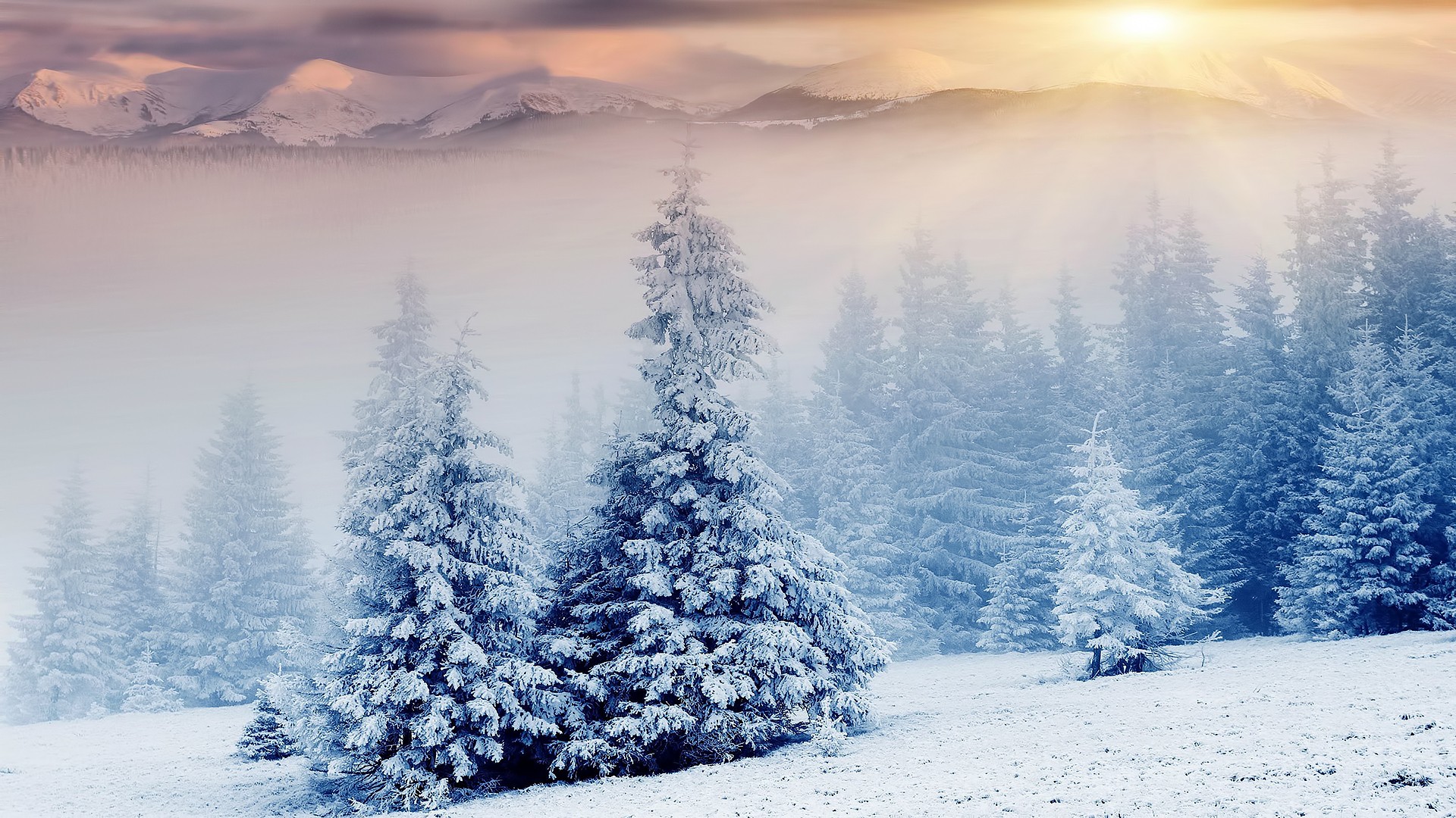 General 1920x1080 landscape winter trees nature cold outdoors