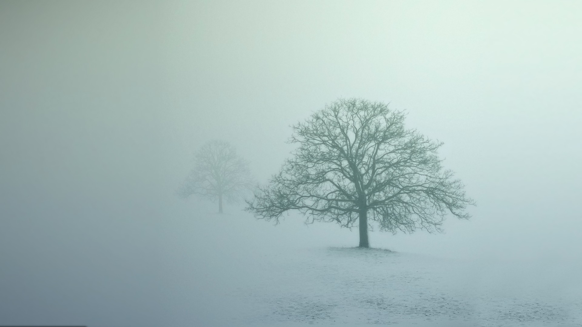 General 1920x1080 mist photography nature landscape snow winter outdoors ice cold