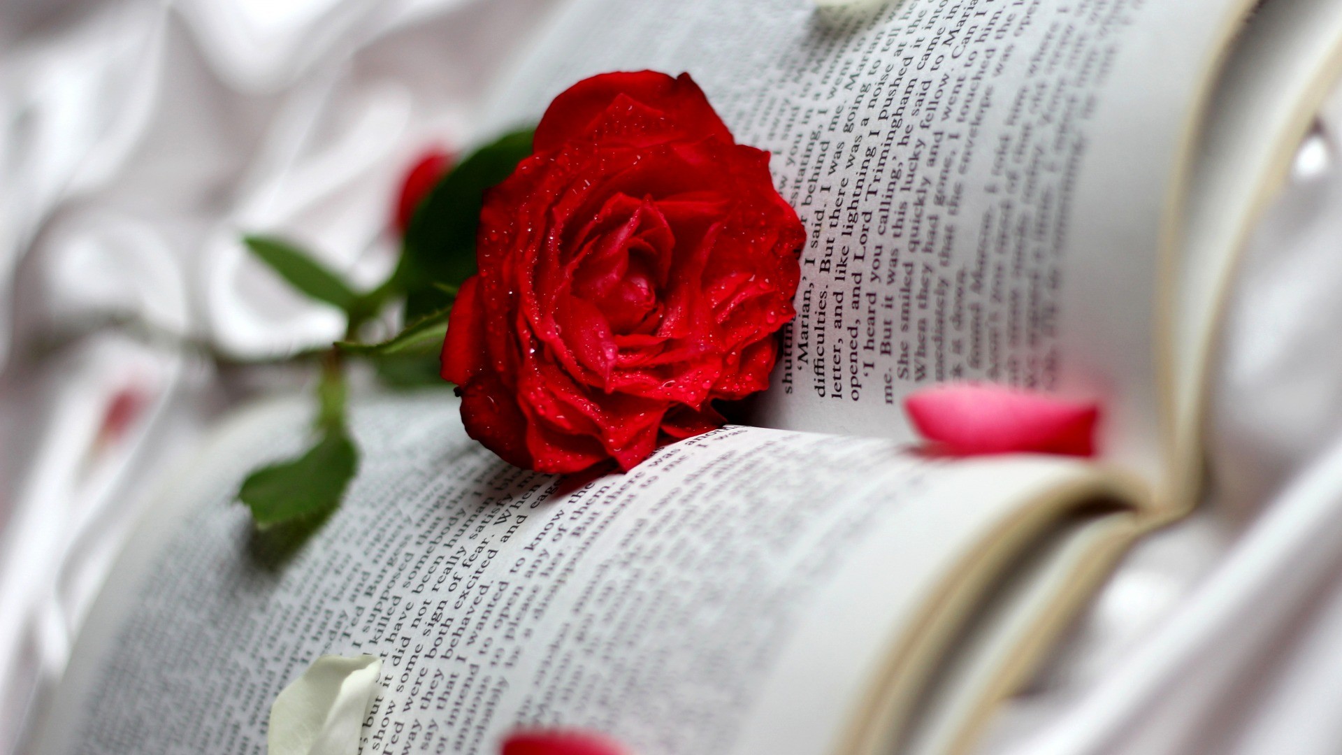 General 1920x1080 books flowers rose plants red flowers