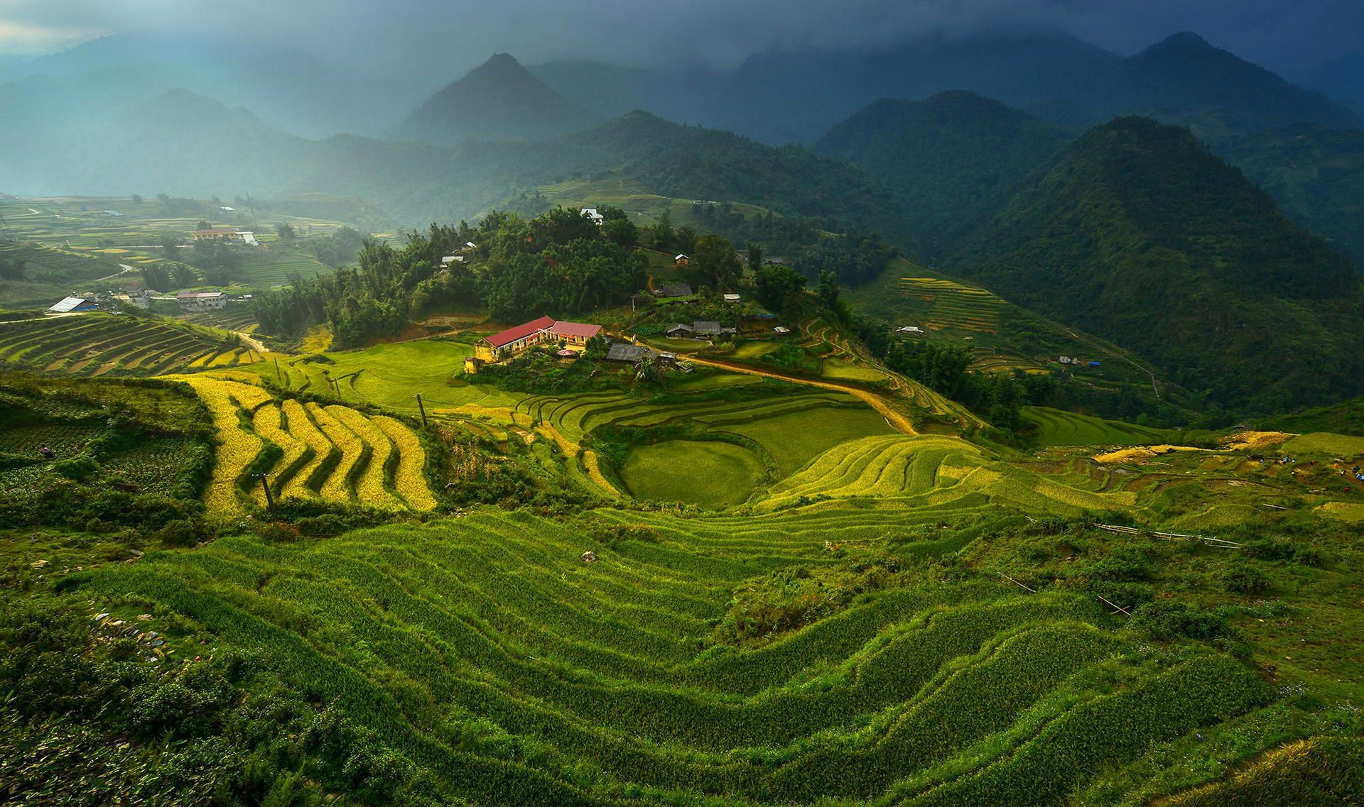 General 1920x1137 landscape Vietnam terraced field high angle Asia Agro (Plants)