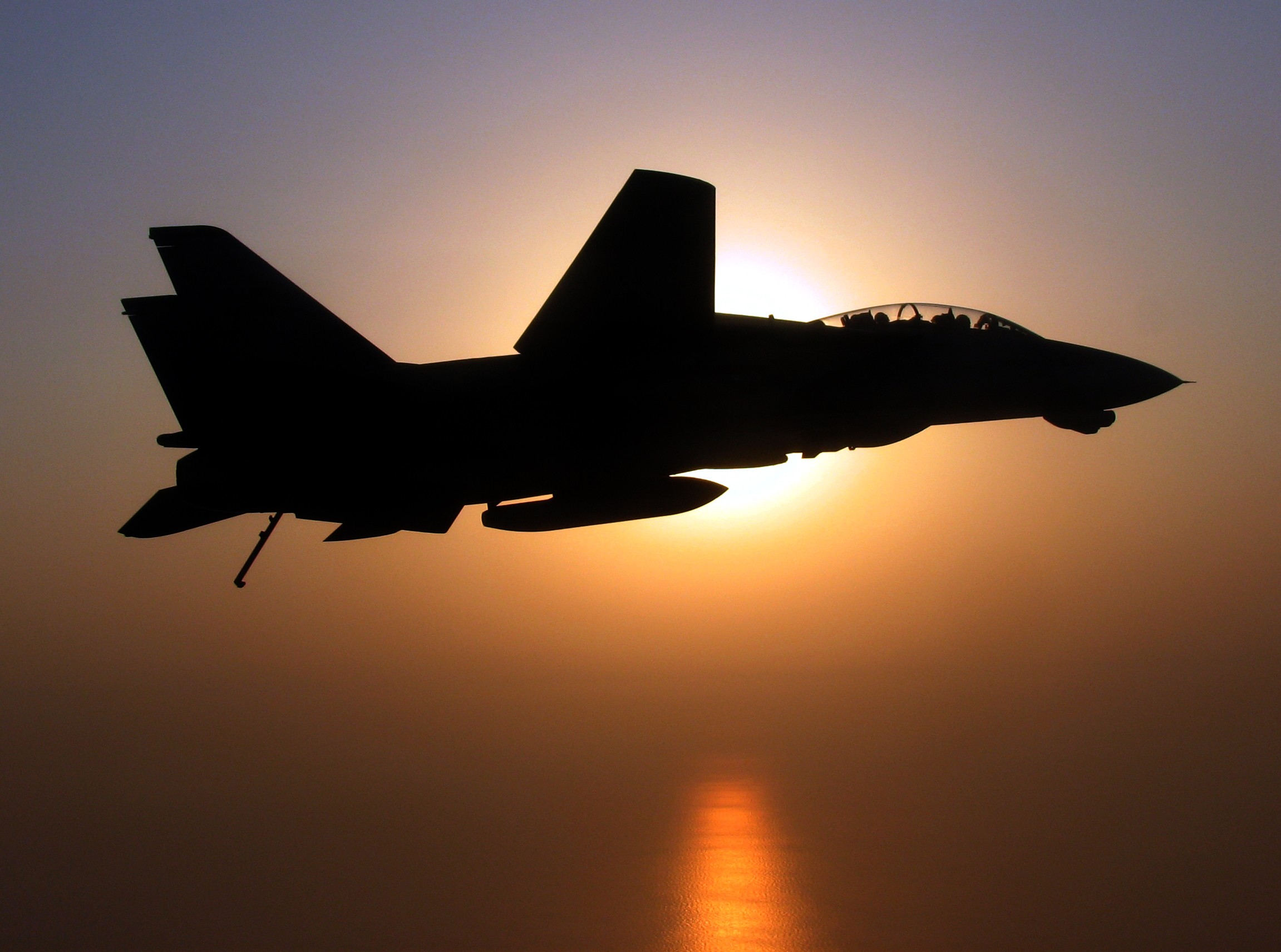General 2302x1710 F-14 Tomcat military aircraft military jet fighter silhouette vehicle military vehicle American aircraft