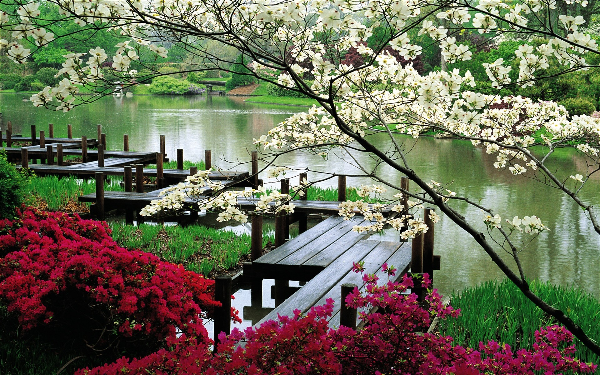 General 1920x1200 river bridge blossoms flowers pier lake outdoors plants