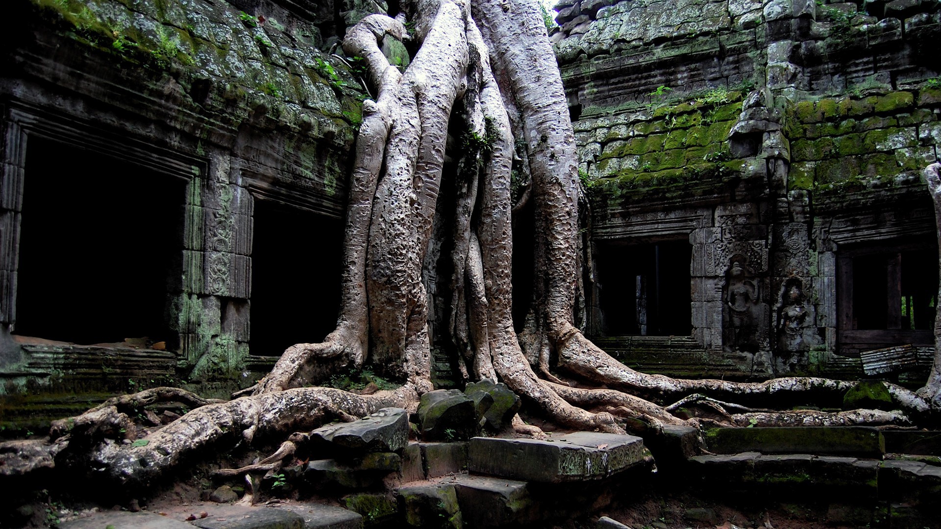 General 1920x1080 temple Angkor Wat monastery abandoned ruins Cambodia nature roots stones trees plants old