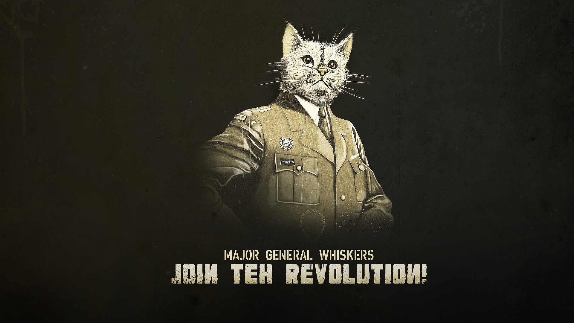 General 1920x1080 cats typography artwork uniform
