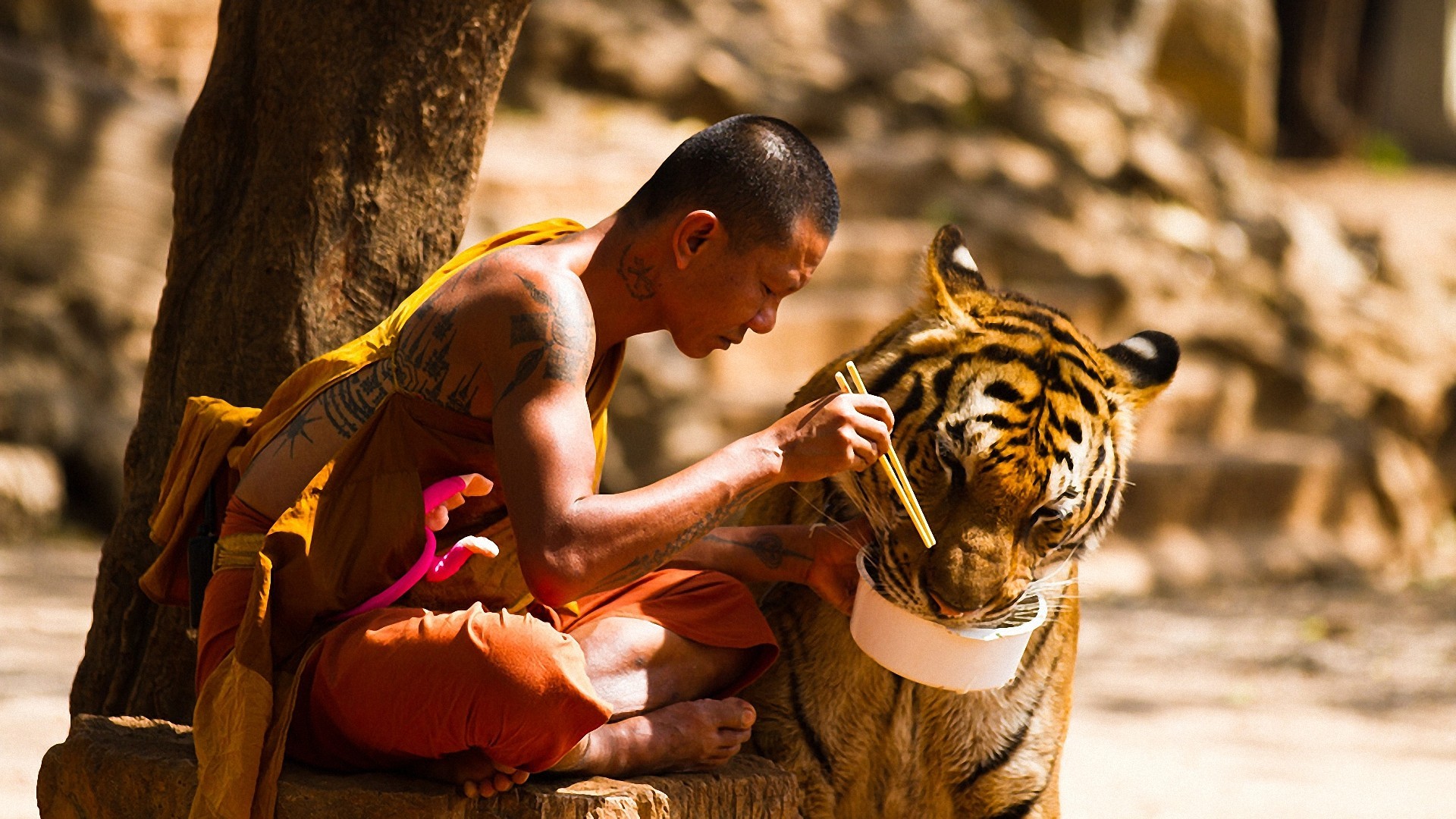 People 1920x1080 monks animals eating tiger trees tattoo chopsticks sitting depth of field Asia men food inked men