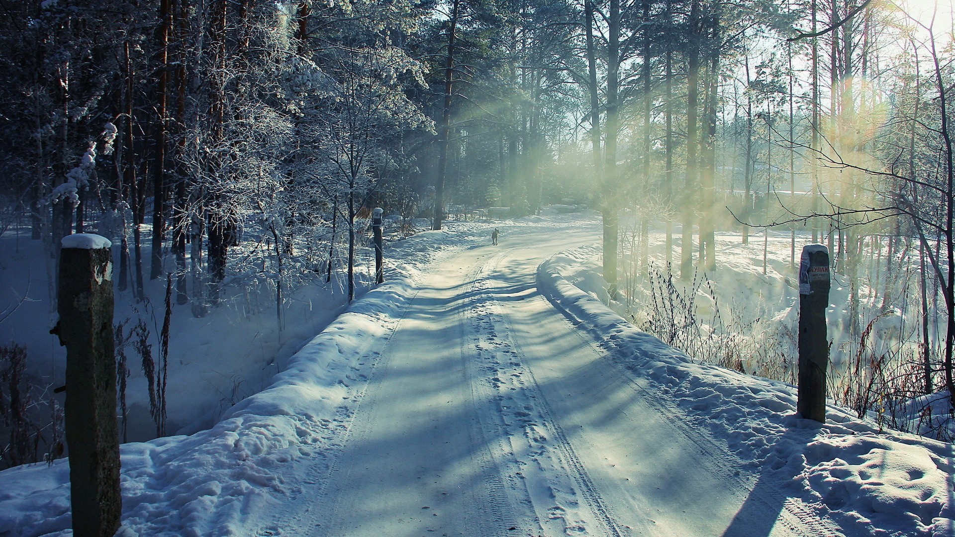 General 1920x1080 road trees sunlight winter cold snow ice outdoors nature cropped