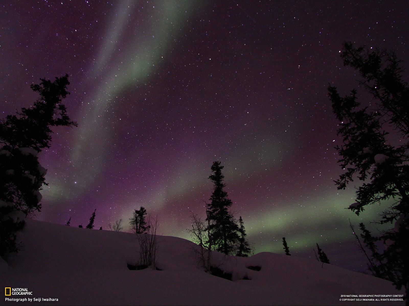 General 1600x1200 landscape snow trees night National Geographic stars aurorae 2010 (Year)