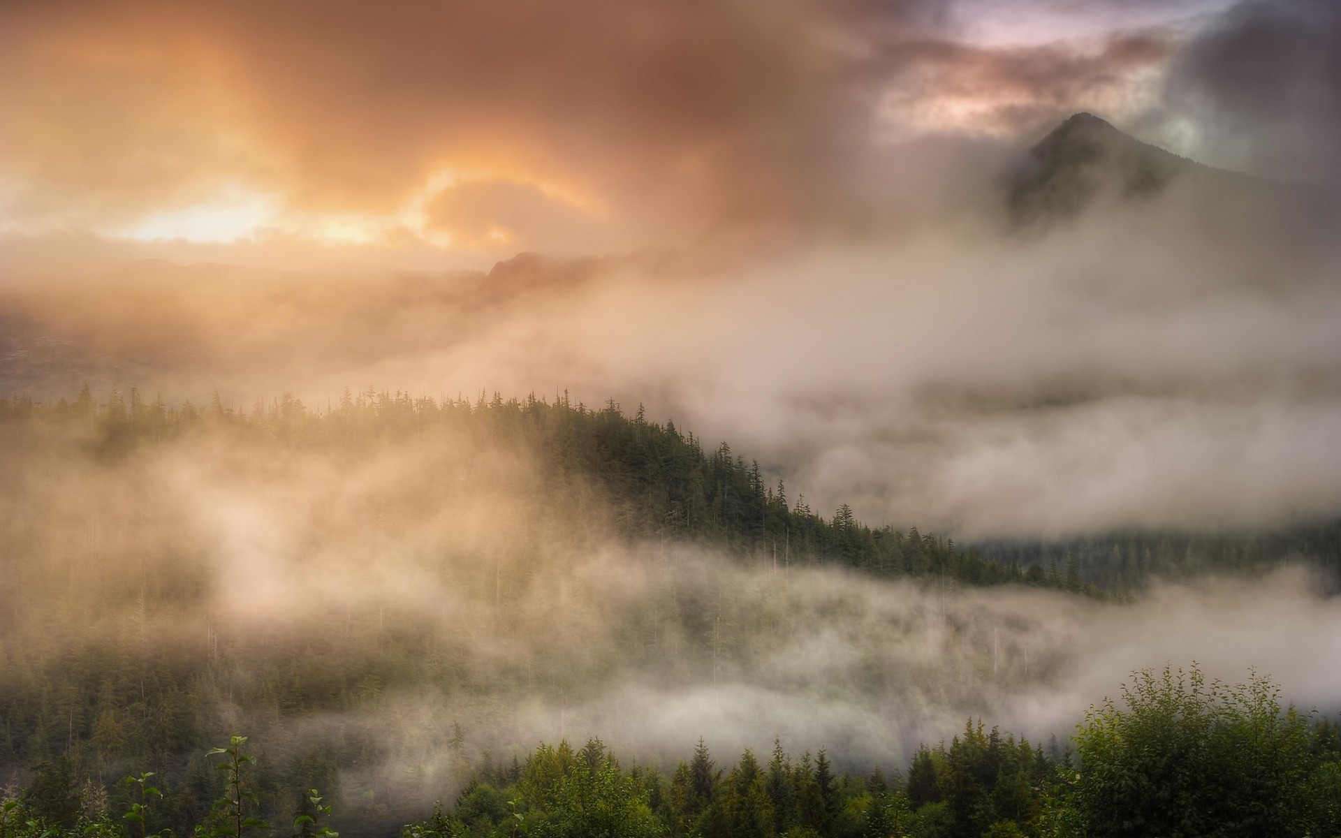 General 1920x1200 landscape nature mist forest clouds mountains trees Alaska nordic landscapes