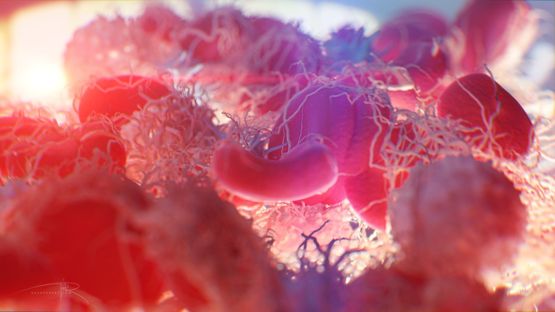 General 1920x1080 digital art colorful macro HIV disease Cells (Biology) biology  science