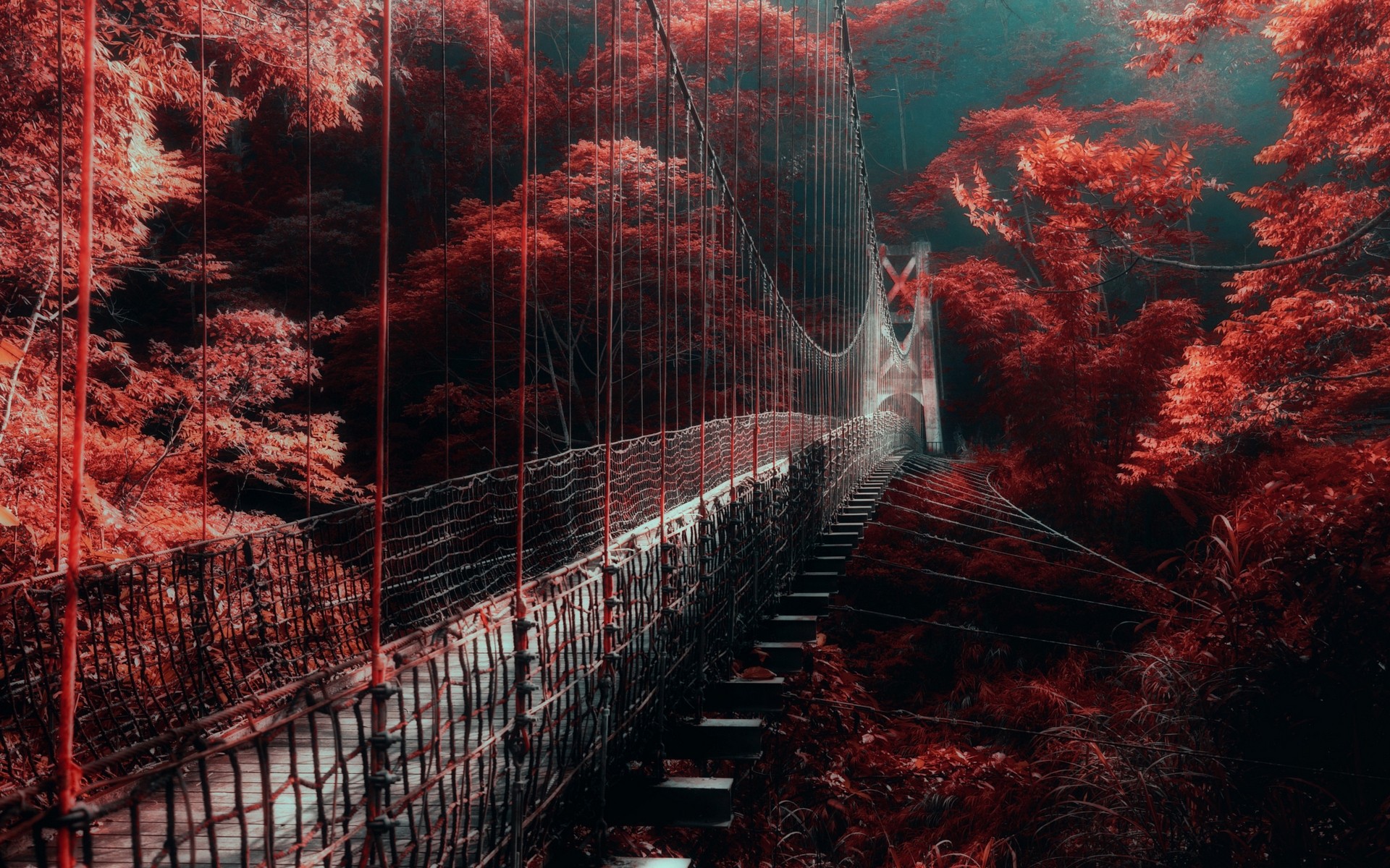 General 1920x1200 nature landscape red forest bridge mist trees walkway