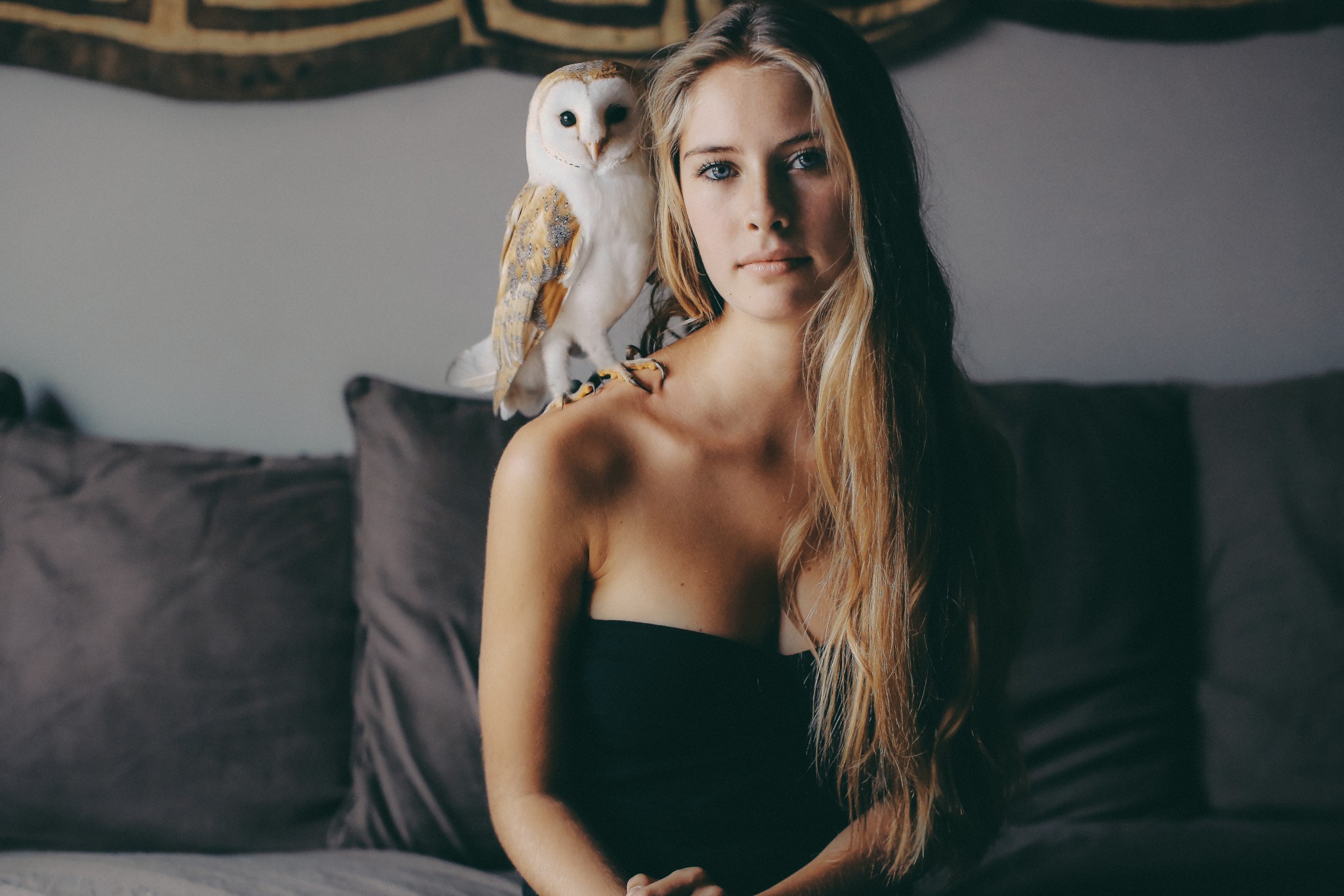 People 2048x1365 women blonde long hair owl animals birds blue eyes bare shoulders face couch Camille Rochette strapless dress black dress women indoors sitting looking at viewer
