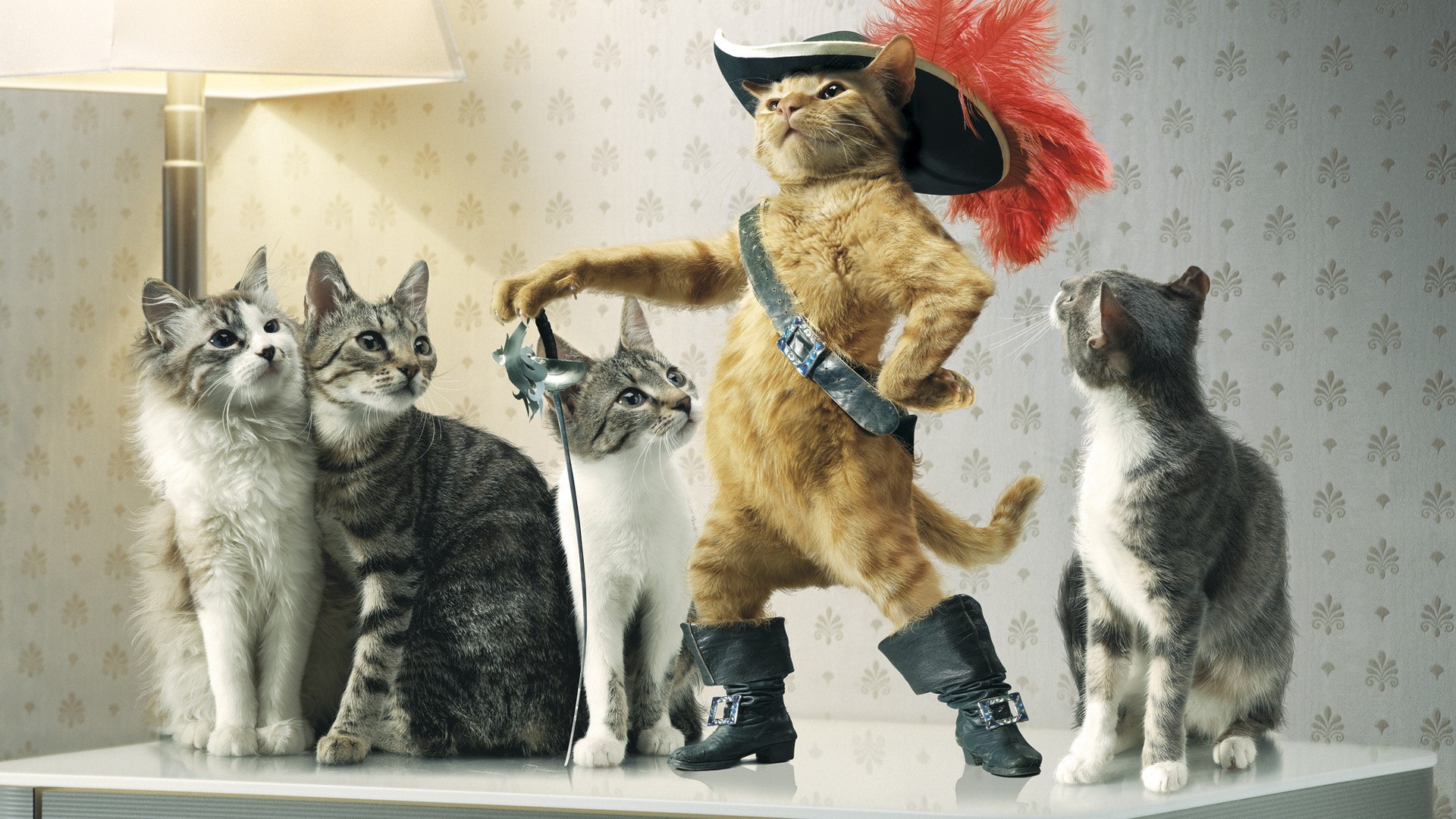 General 1920x1080 cats Puss in Boots photo manipulation book characters
