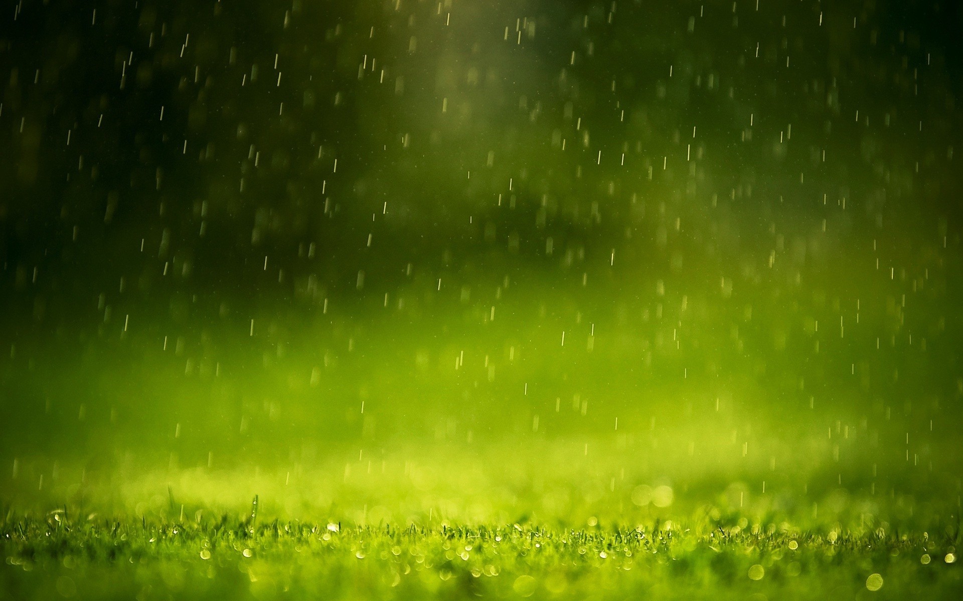 General 1920x1200 macro grass water drops digital art plants wet rain depth of field blurred