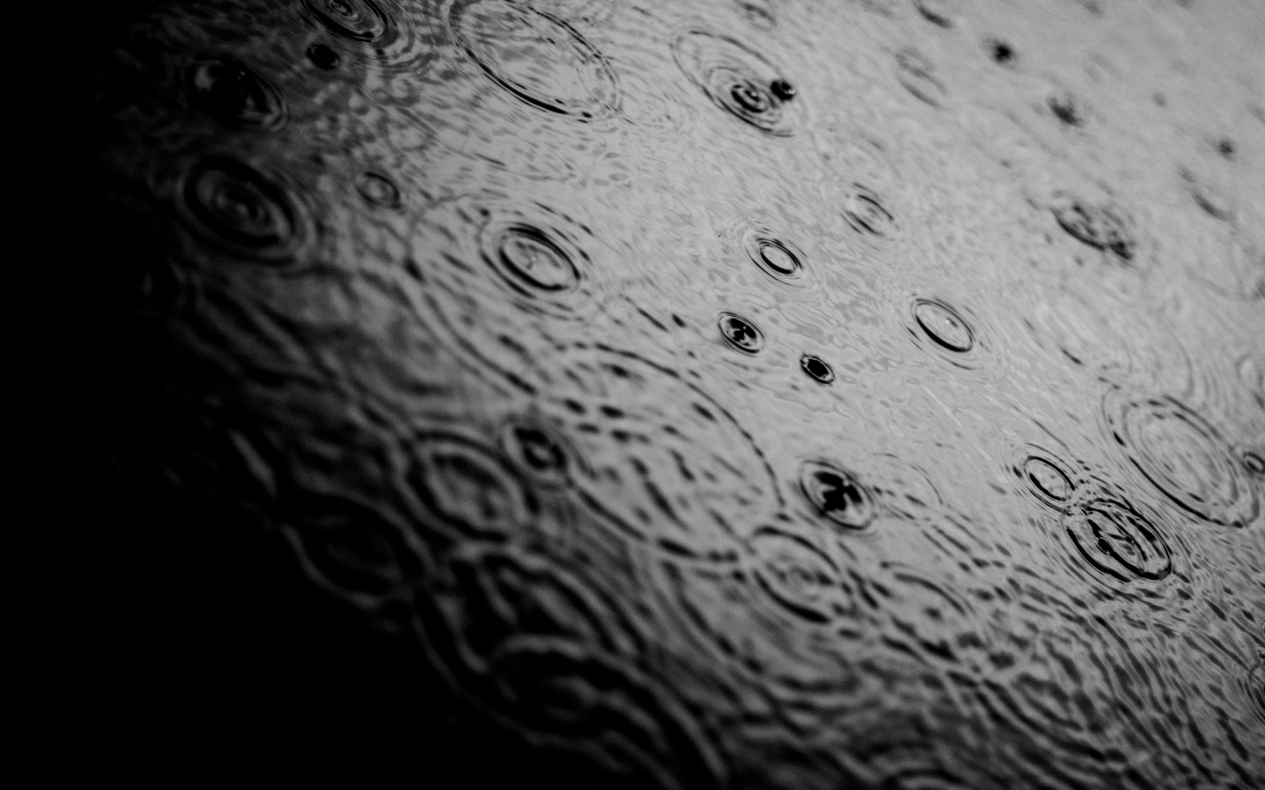 General 2560x1600 rain puddle ripples monochrome