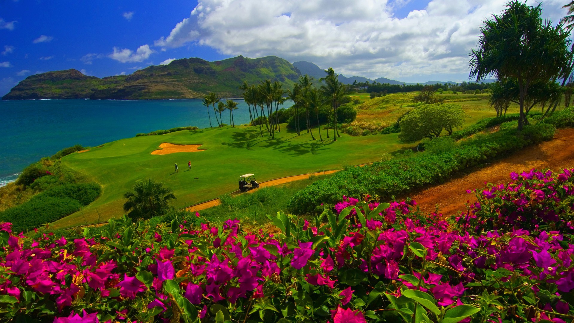 General 1920x1080 nature landscape water trees sea Hawaii golf course flowers grass sand palm trees mountains hills clouds
