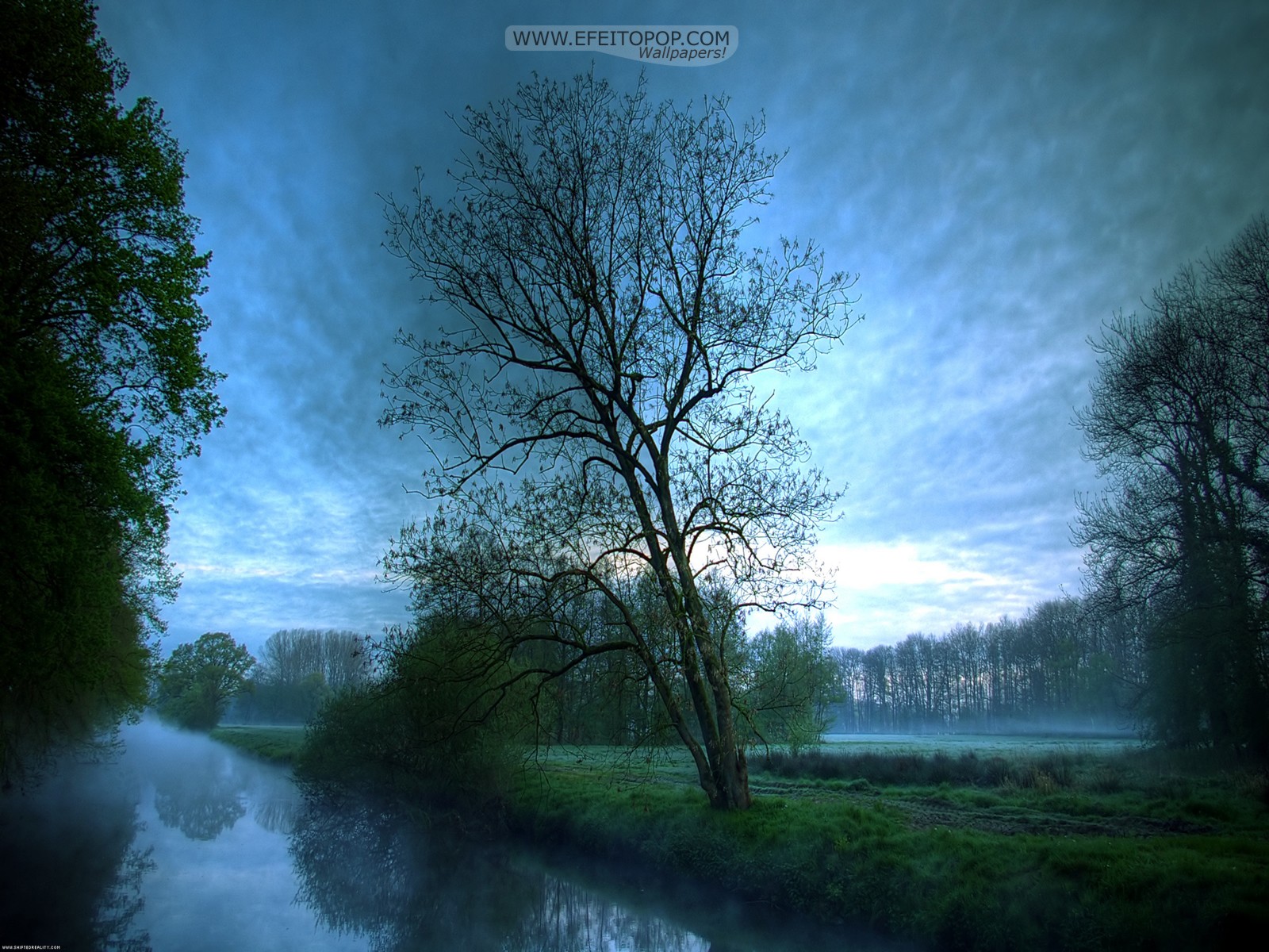 General 1600x1200 water trees landscape nature outdoors canal mist morning watermarked
